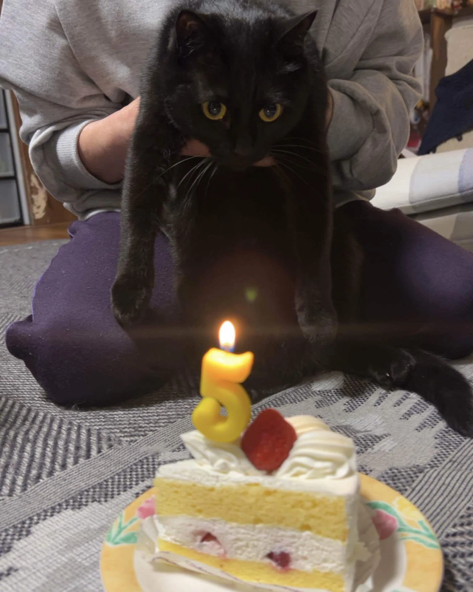 黒猫】「祝・5歳」黒猫あめとたどり着いた「誕生日の正解」｜ゆぱ