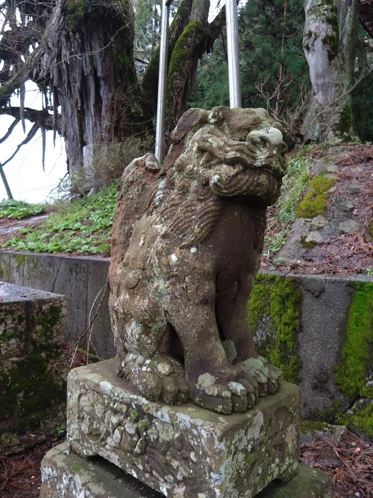 広島県高野町・天満神社」（母なるイチョウの樹）｜ryuko