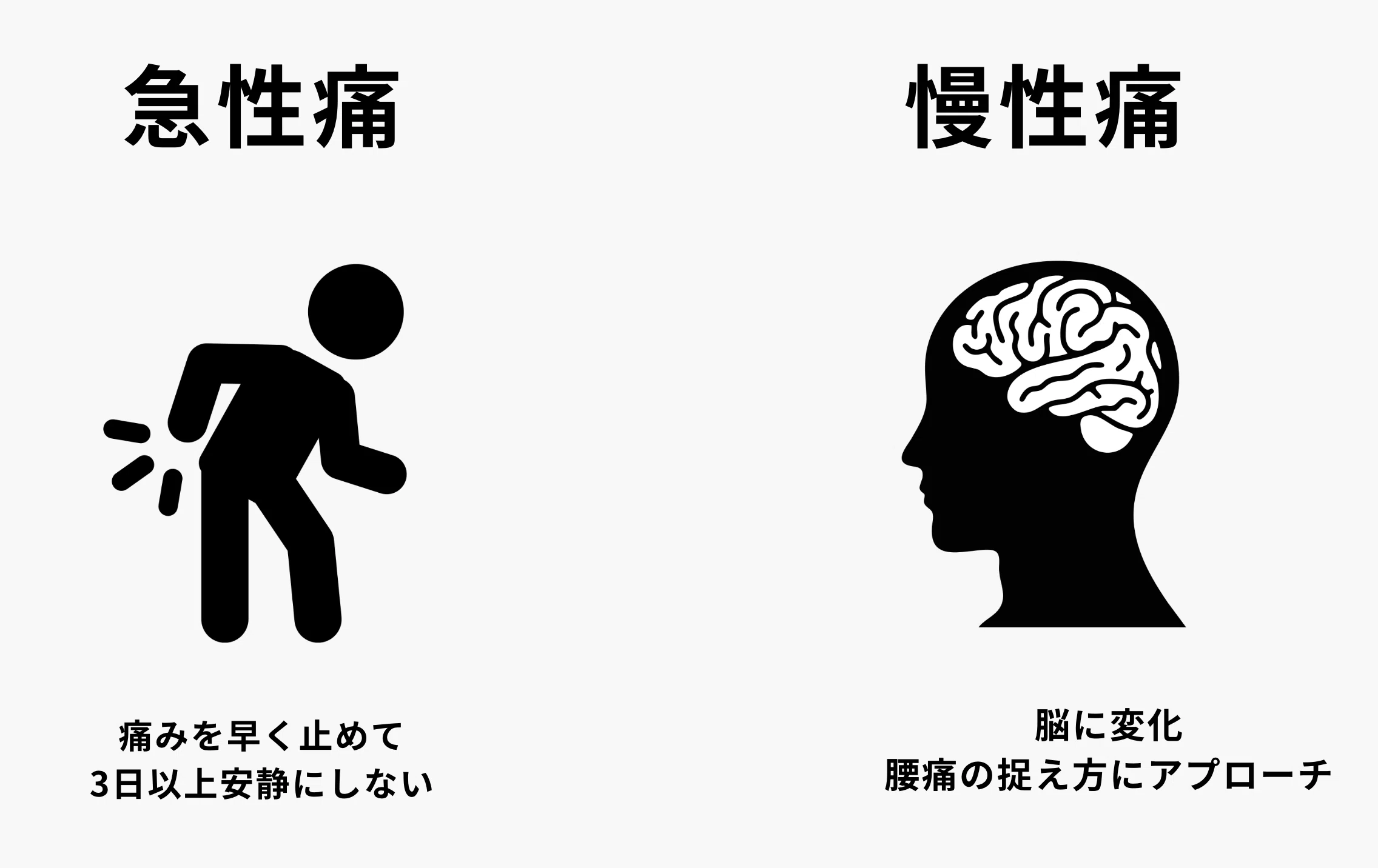 腰痛のサイエンス (痛みのScience u0026 Practice) 【公式通販】