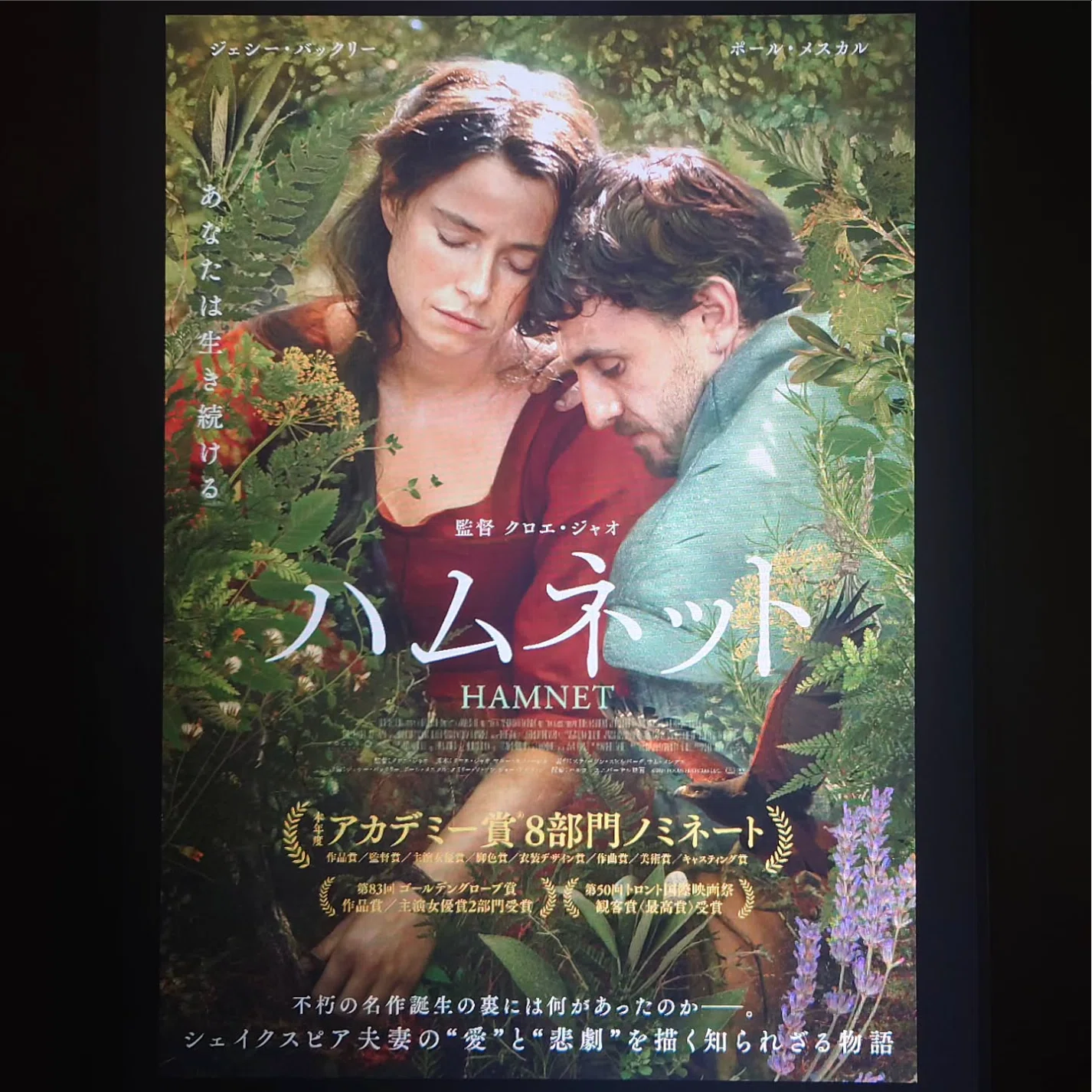 映画日誌'26-20：ハムネット｜さかいりえ