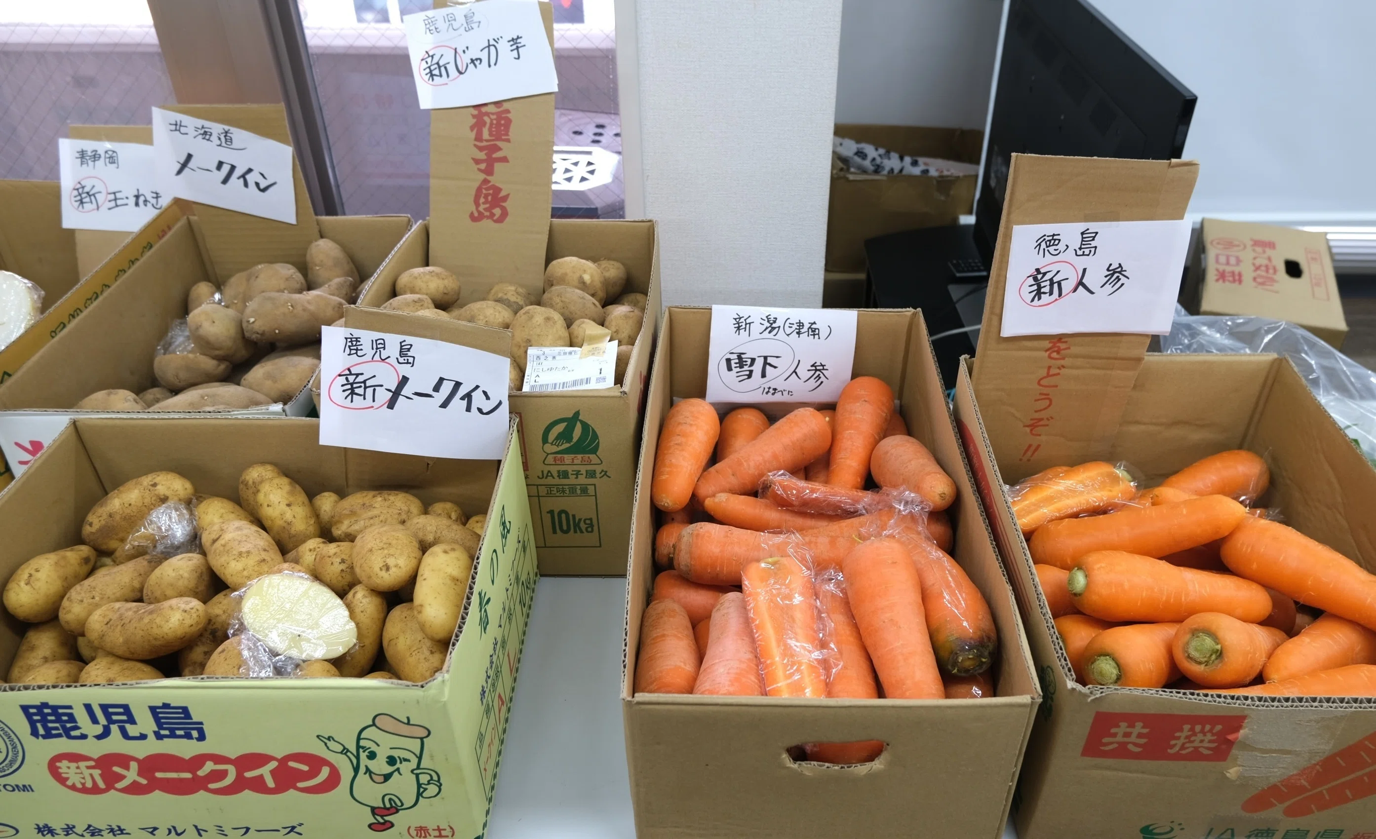 八百屋塾レポート】 勉強品目：新旧野菜（2026/4/19開催）｜八百屋塾
