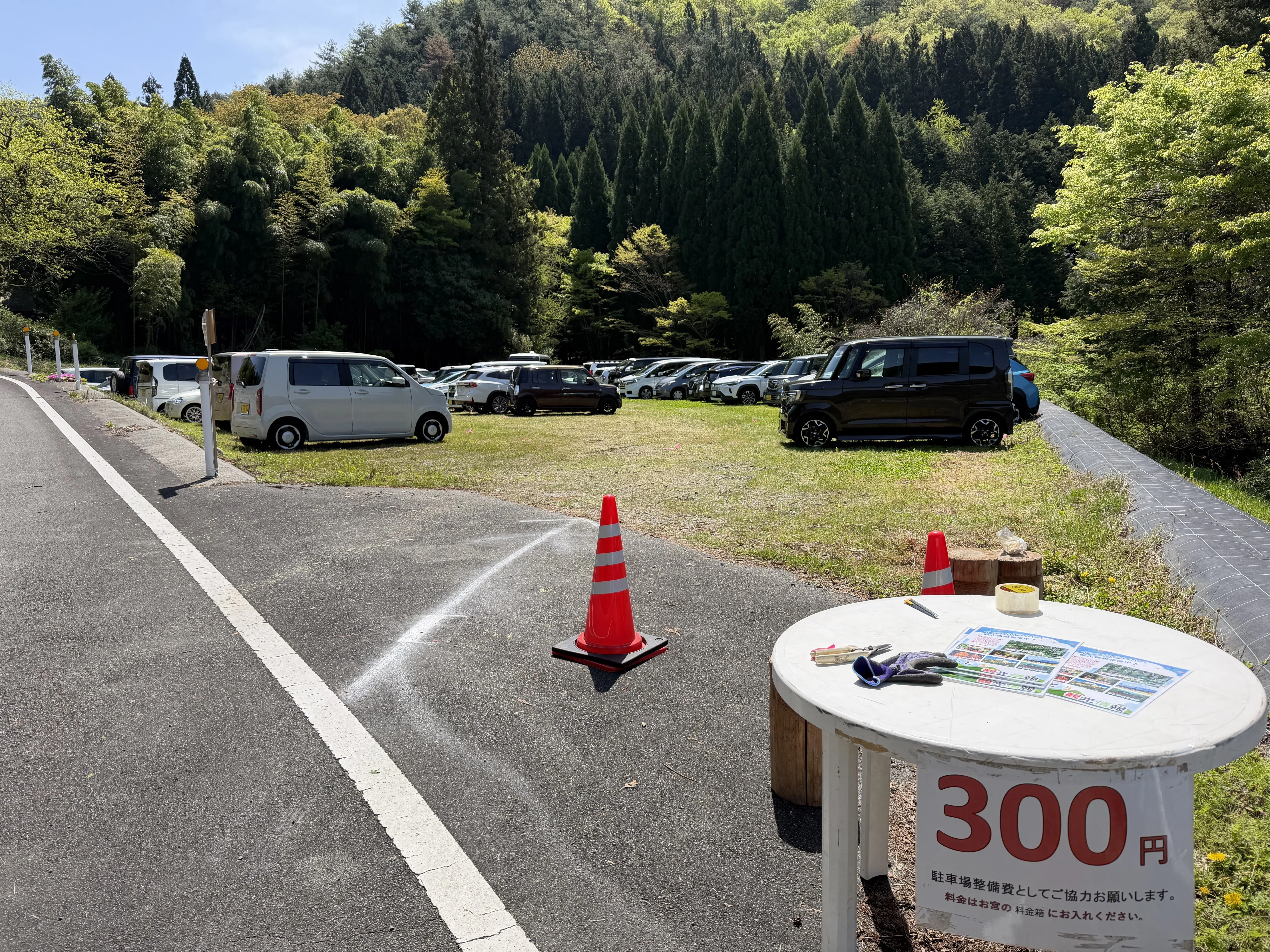 十種ヶ峰の山芍薬＆弟見山のカタクリを見に♬｜ラリーグラス