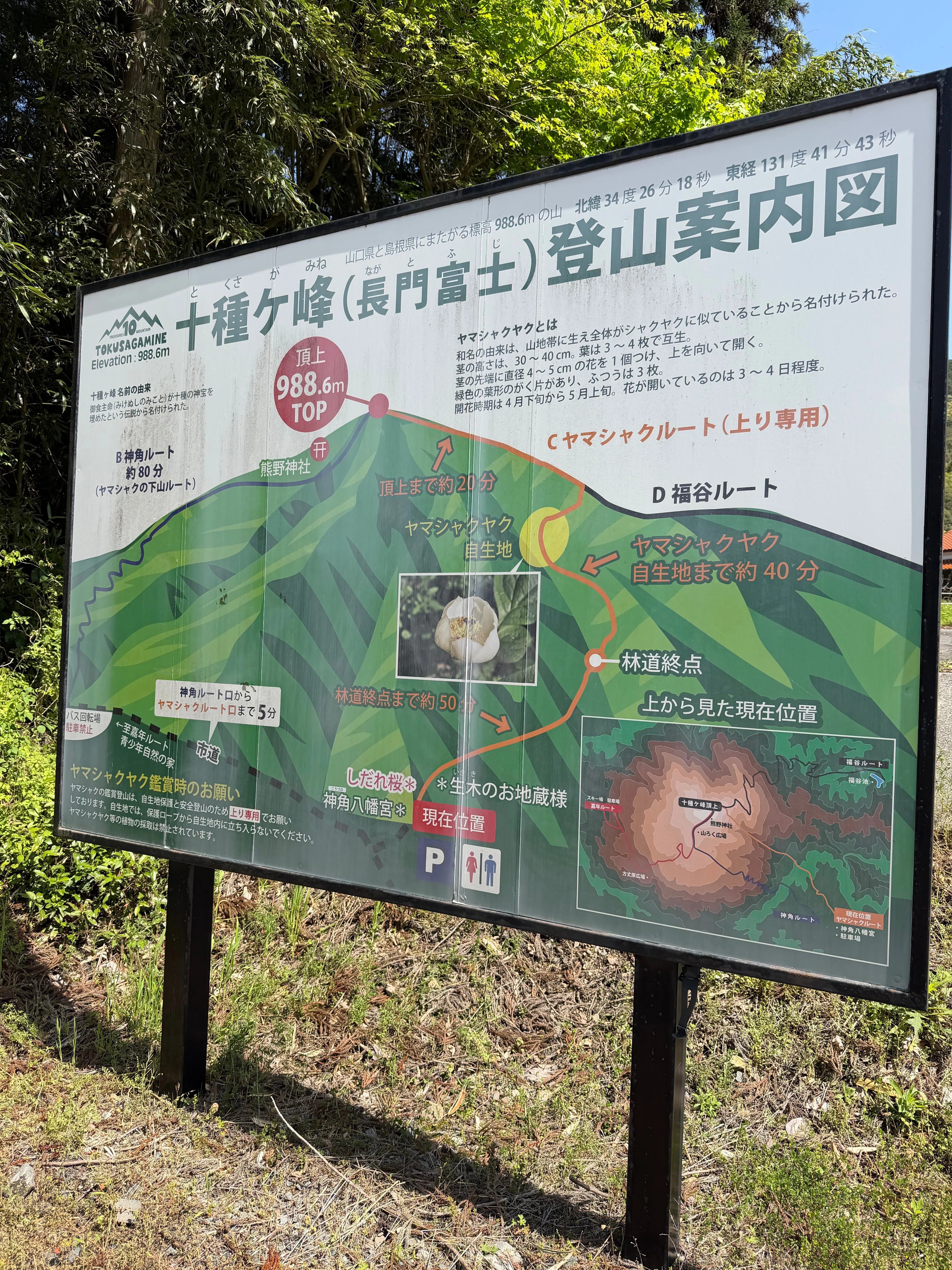 山の流れ 十種ヶ峰の山芍薬＆弟見山のカタクリを見に♬｜ラリーグラス