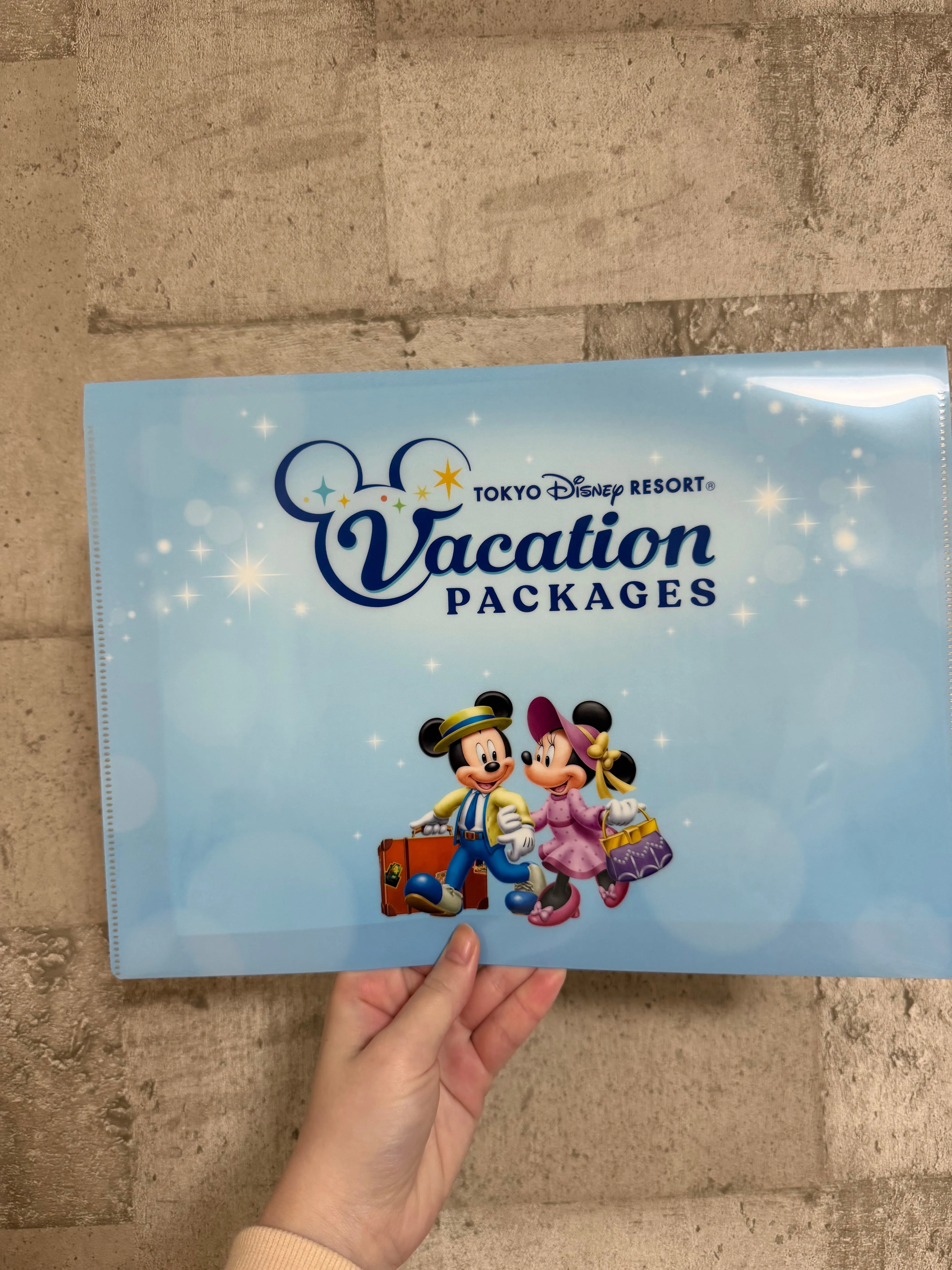 ぼっちでディズニーシー25周年グリ付きバケパを満喫してきた｜のん