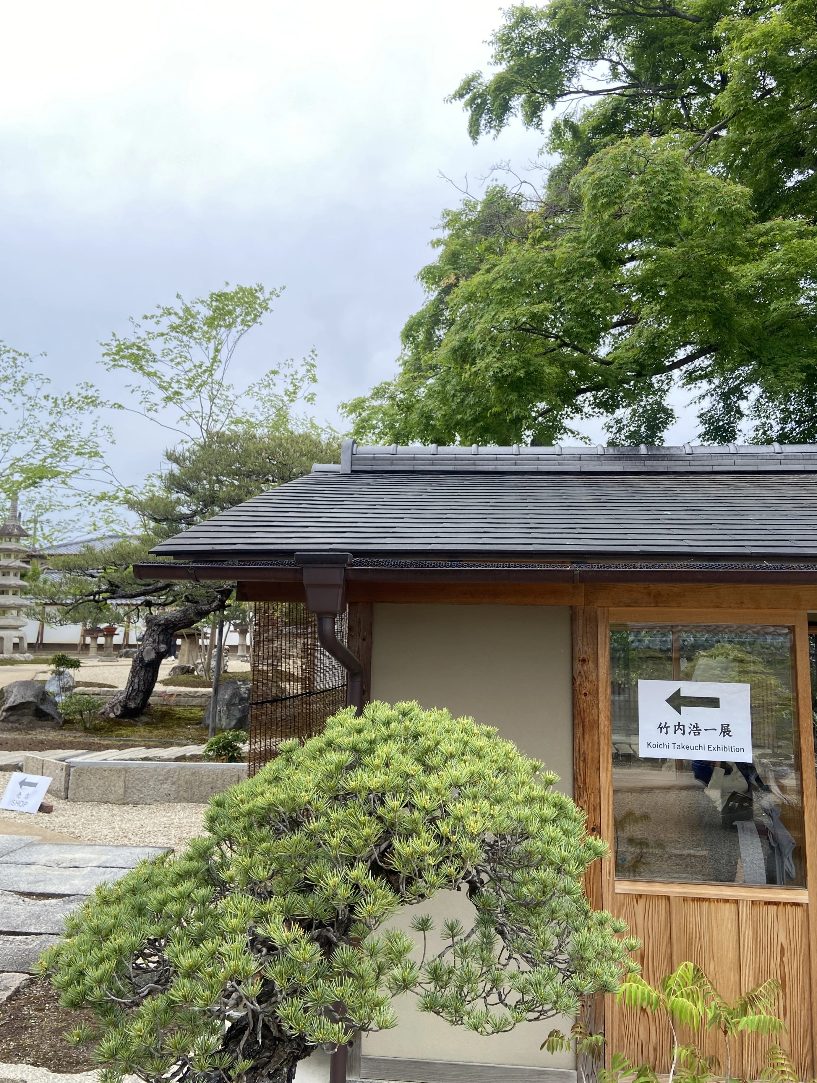 大徳寺芳春院 竹内浩一の襖絵｜トモコ444