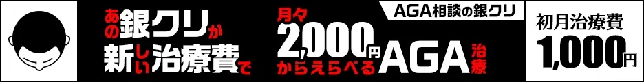 https://px.a8.net/svt/ejp?a8mat=3TLPG4+DG1FLE+211Q+62ENL