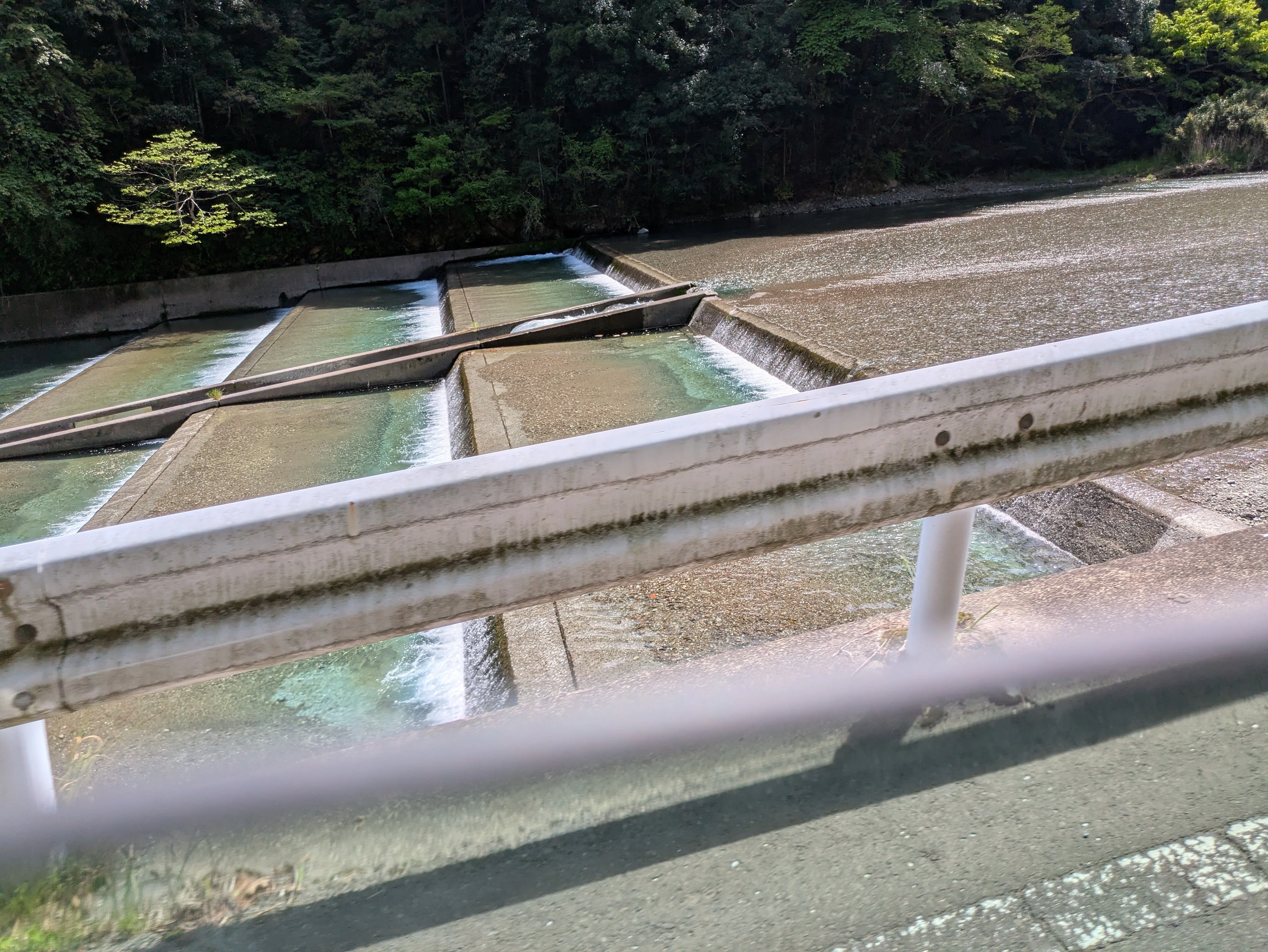2026.04.19 静岡市清水区、盛り沢山な清見寺と河内の大石｜keitoneco99