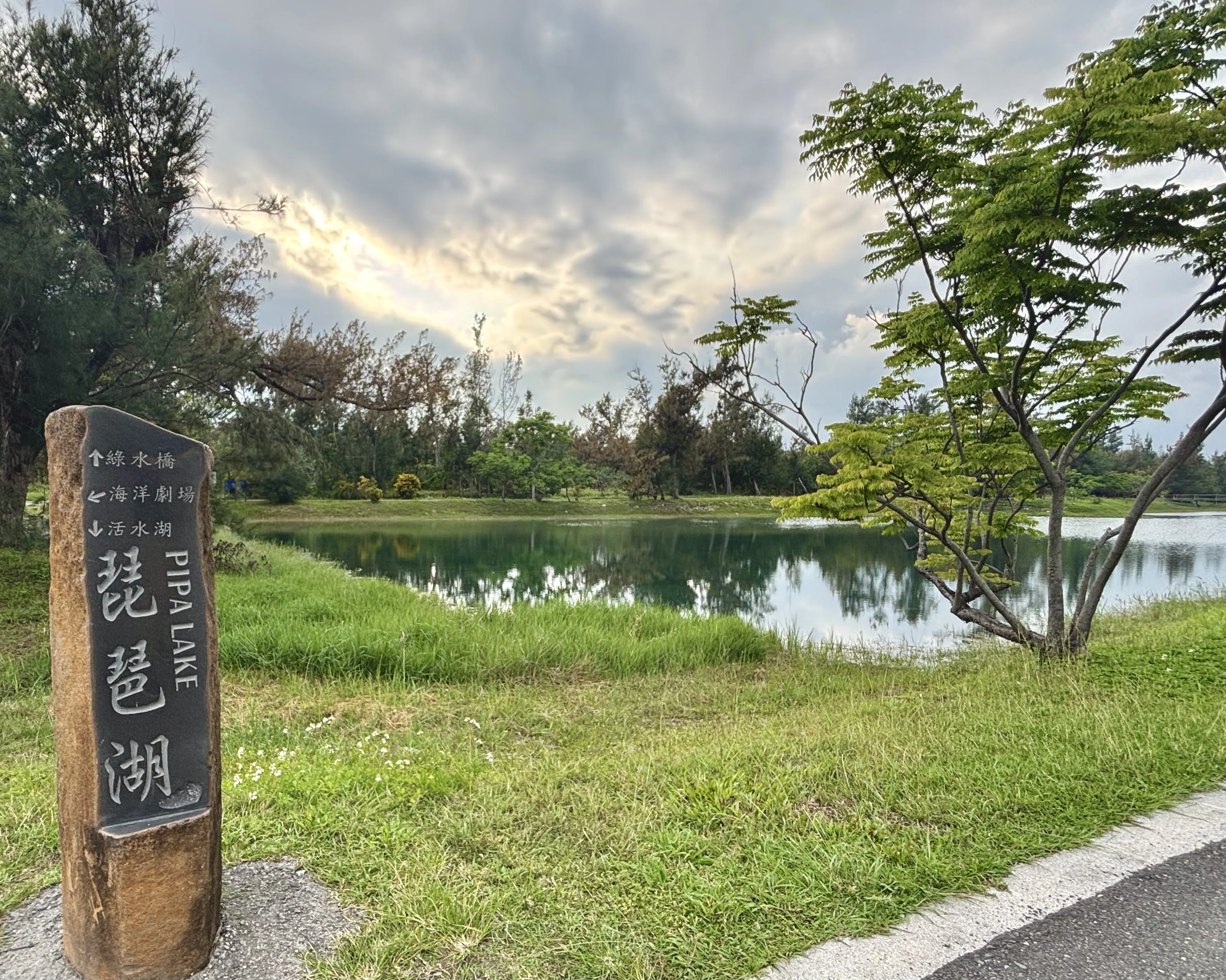 花粉避難からの台湾一周 50 亜熱帯の琵琶湖畔にて〜台東森林公園｜主婦