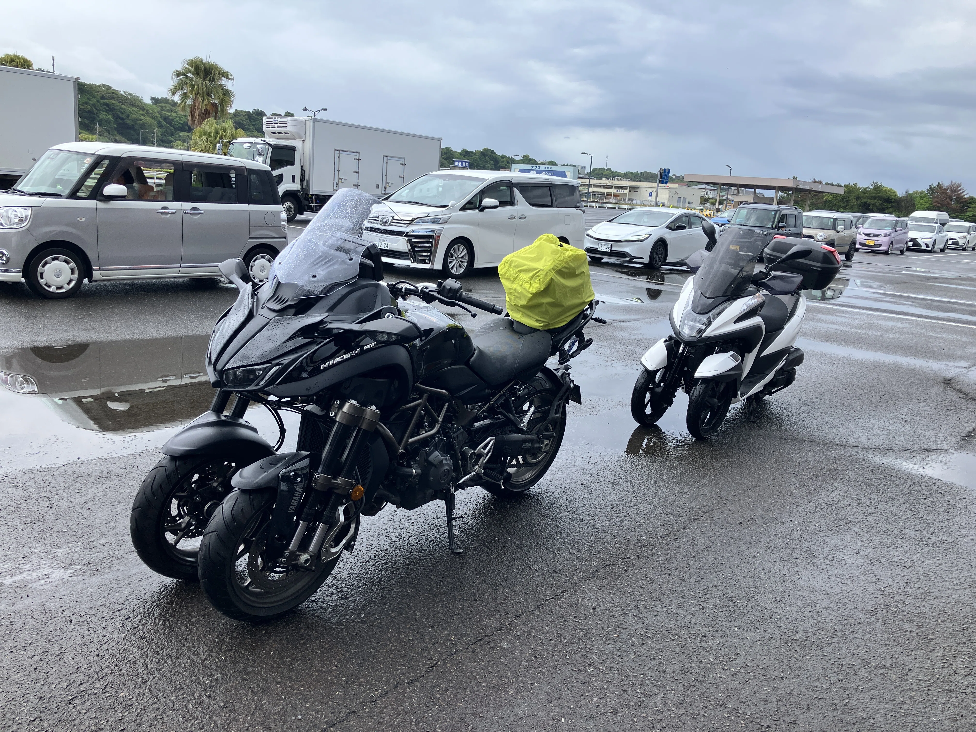 大人の三輪車の邂逅｜そーき