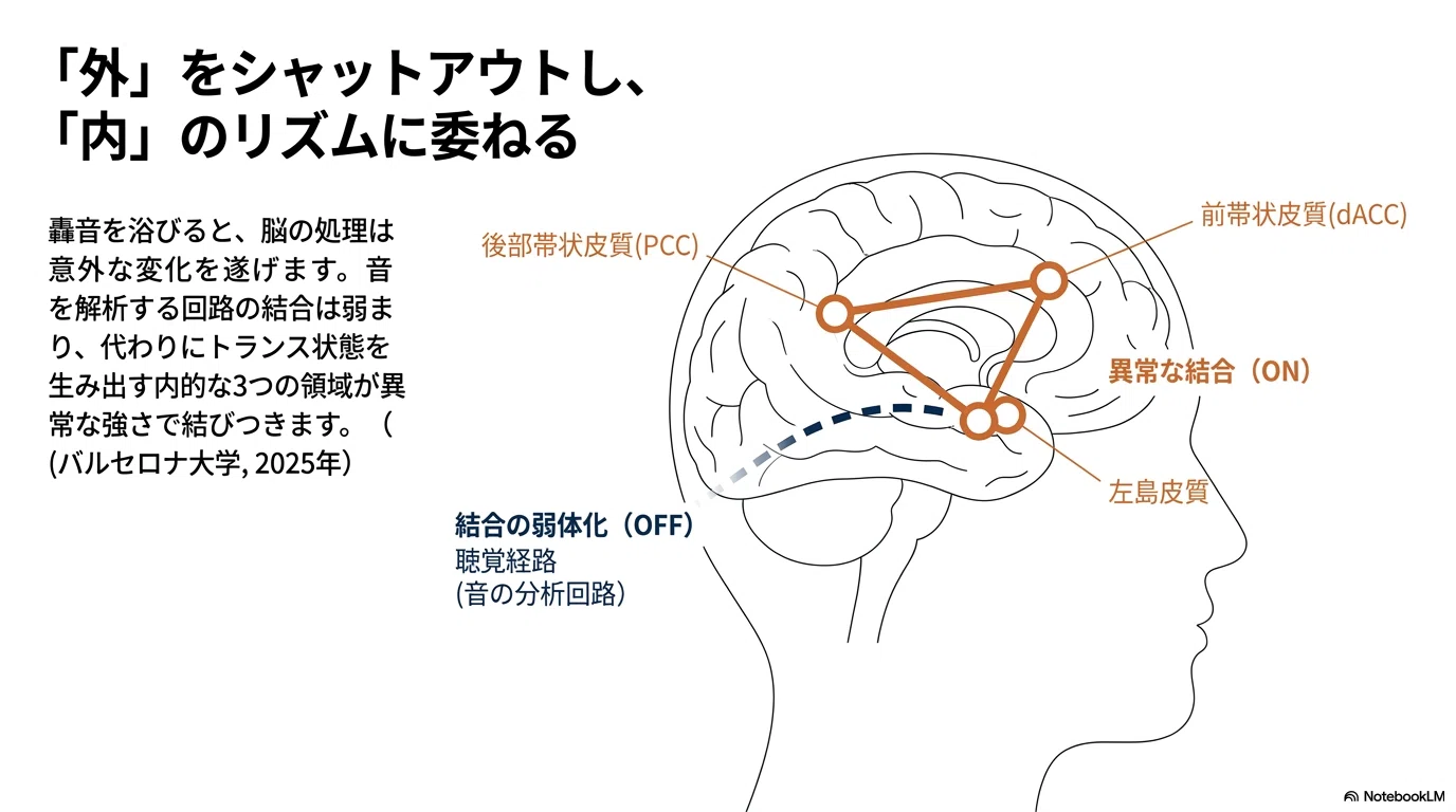 ライブの轟音で「意識が飛ぶ」のはなぜか──太古のシャーマンと最新脳