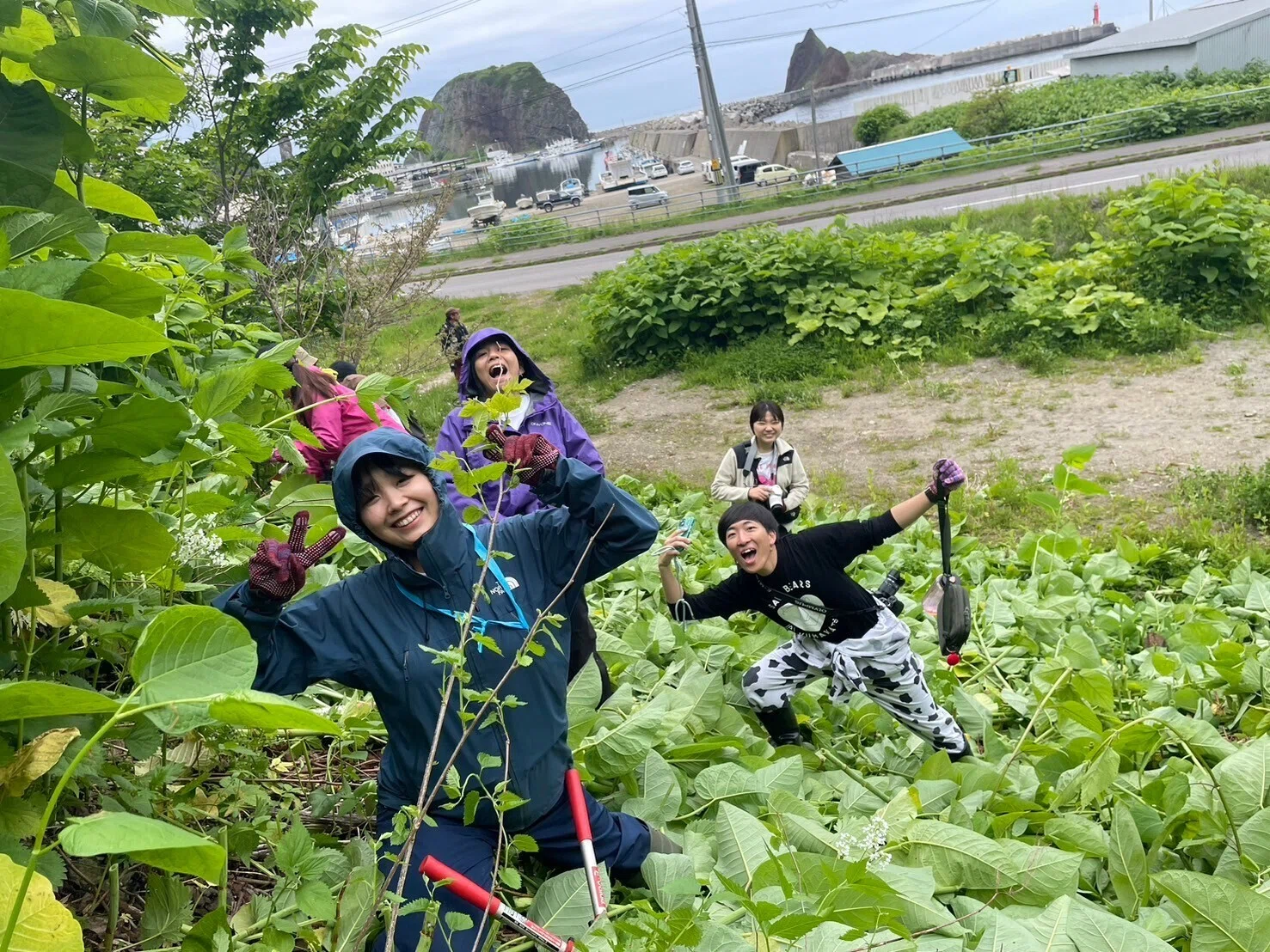 参加者募集】クマ活で草刈り！🌿 2026年5月26日(火) ・ 6月6日(土
