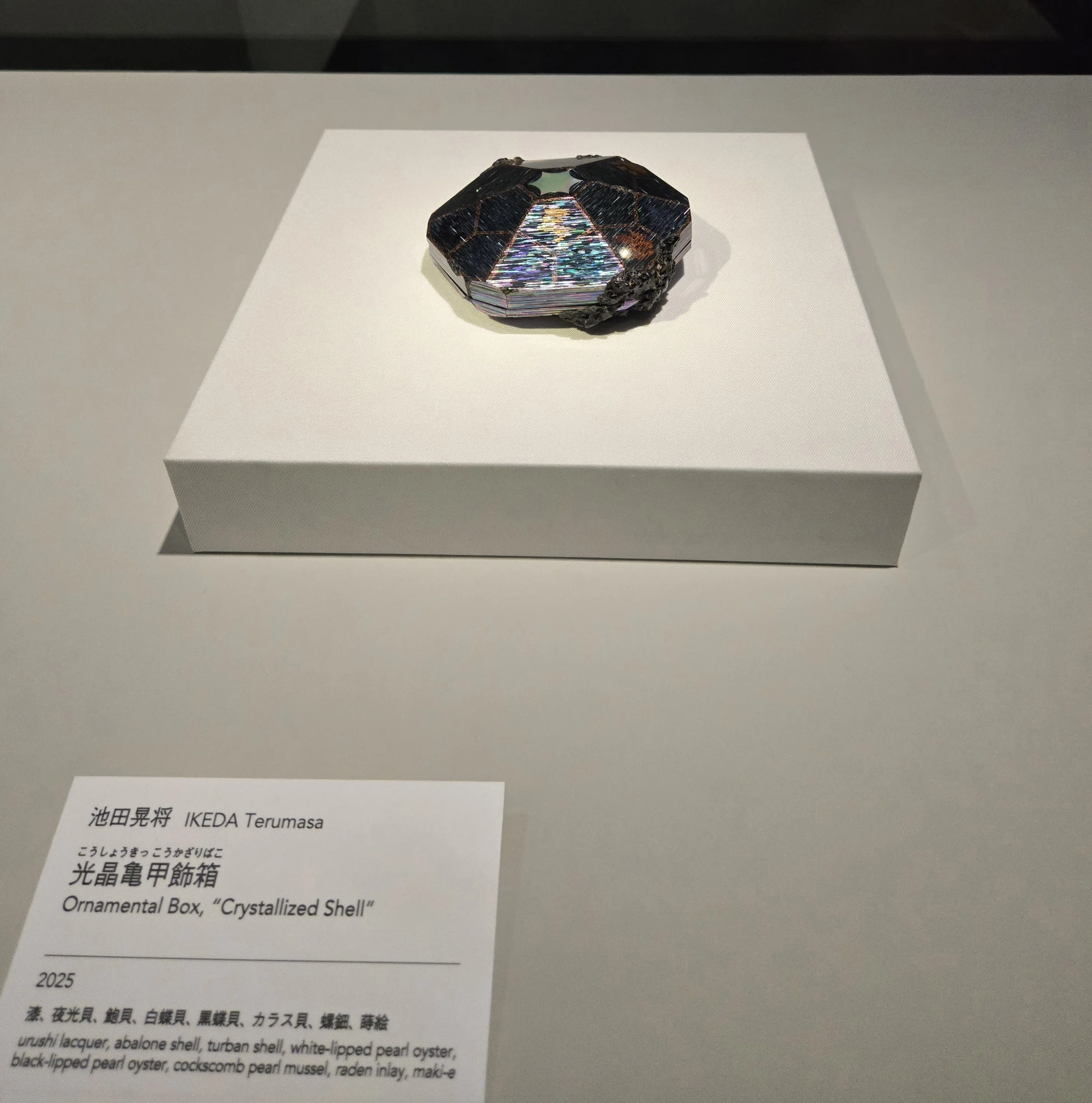 ポケモン×工芸展にいってきた！｜れいちゃん
