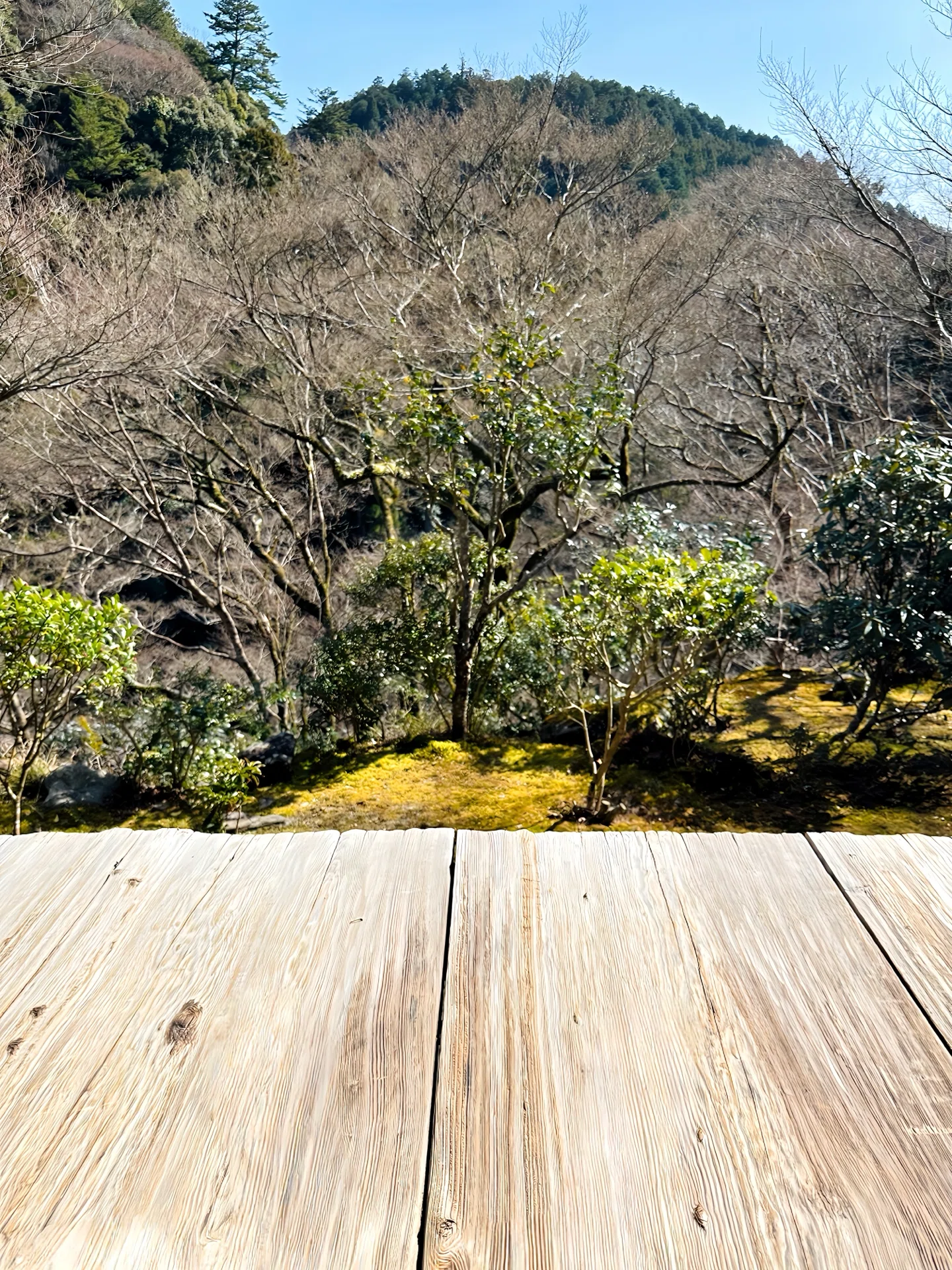 置物 高山寺 犬 レプリカ値段 鳥獣戯画の寺で会いたかったのは