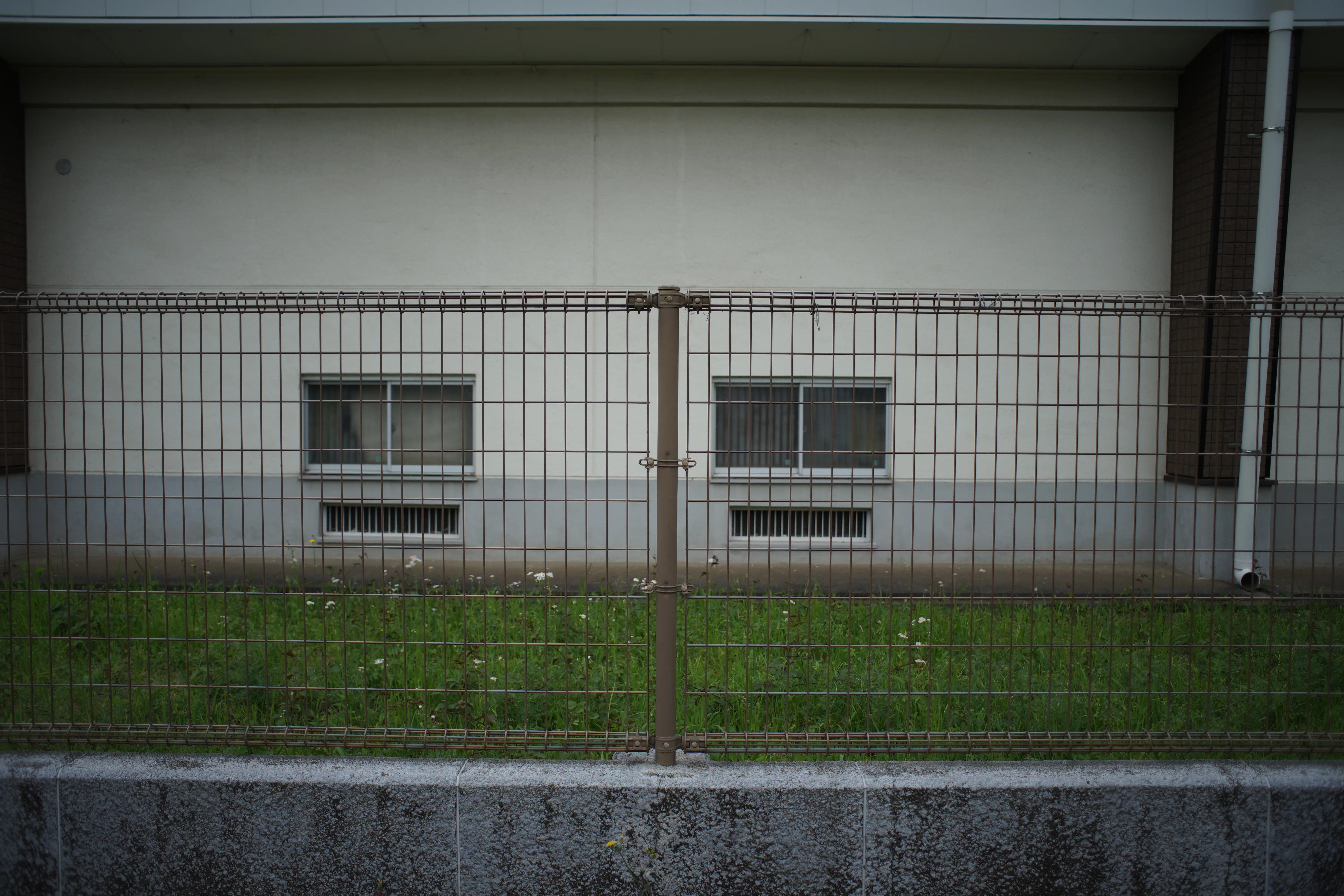 60．YASHICA DSBレンズとDS-Mレンズ＜レンズ＞｜神成