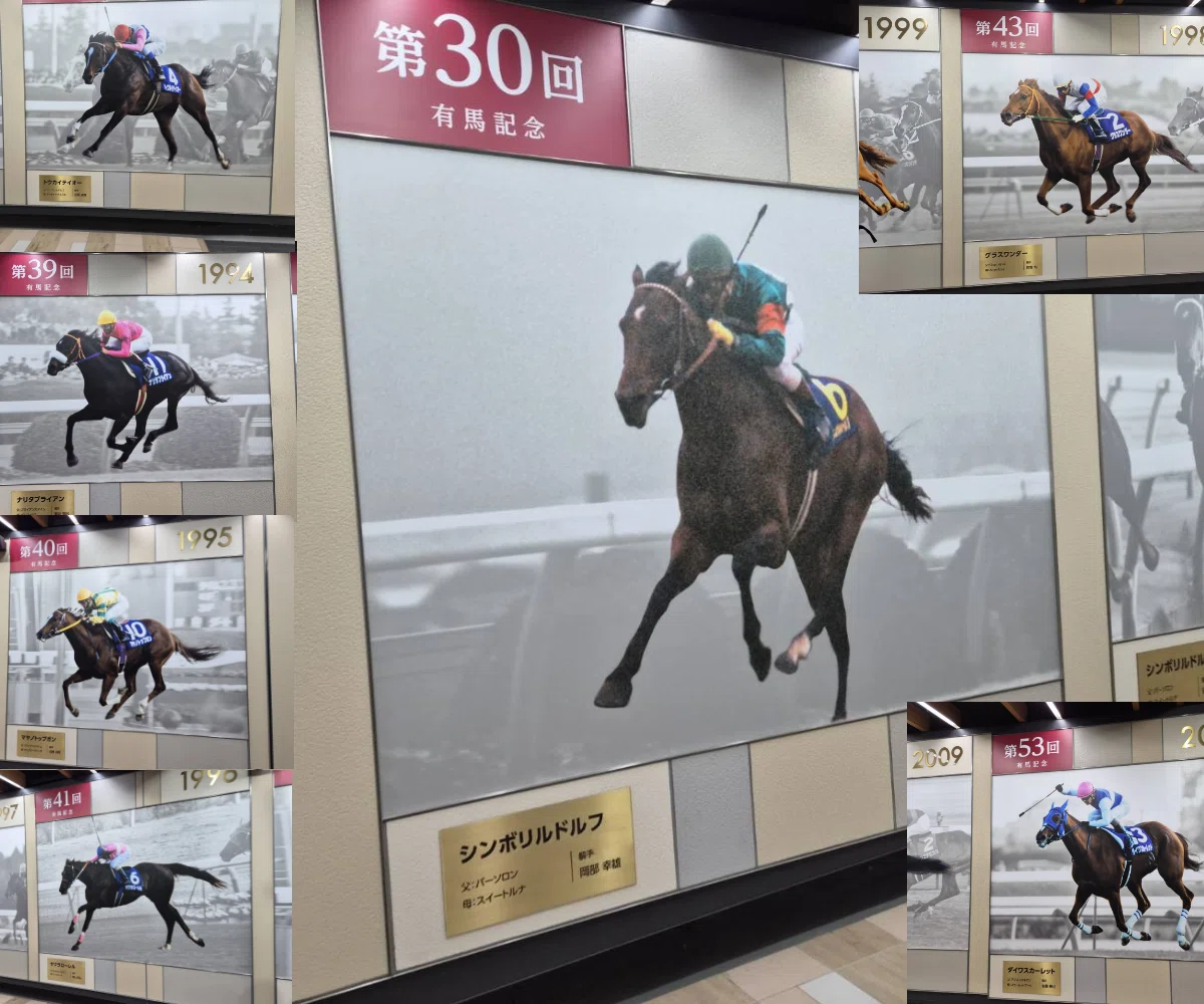 読書感想】ルドルフの背（著：岡部幸雄 発行：池田書店）を読んで