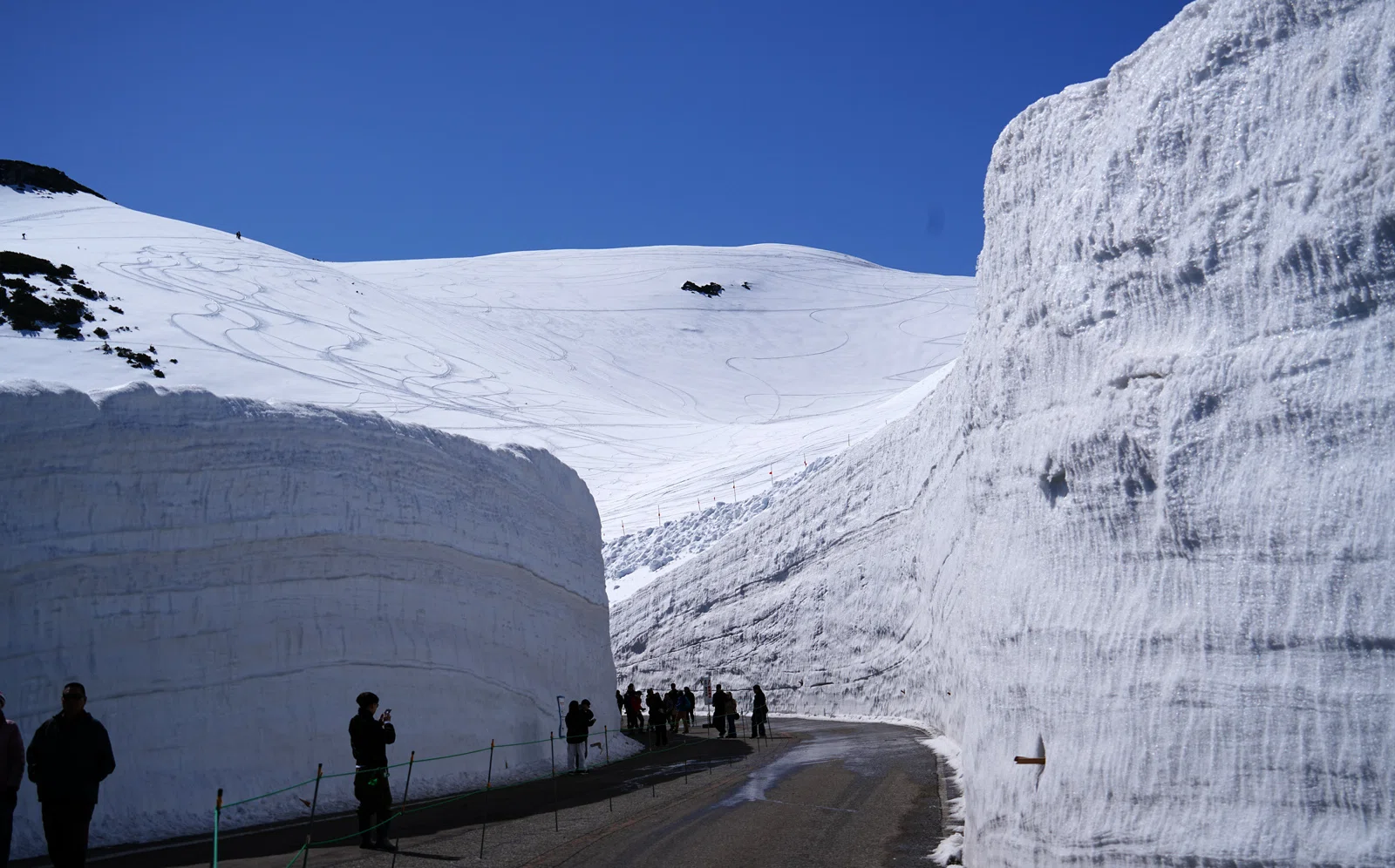 積雪状況 2026年4月下旬 立山 剱岳｜nakagawa tatsuo