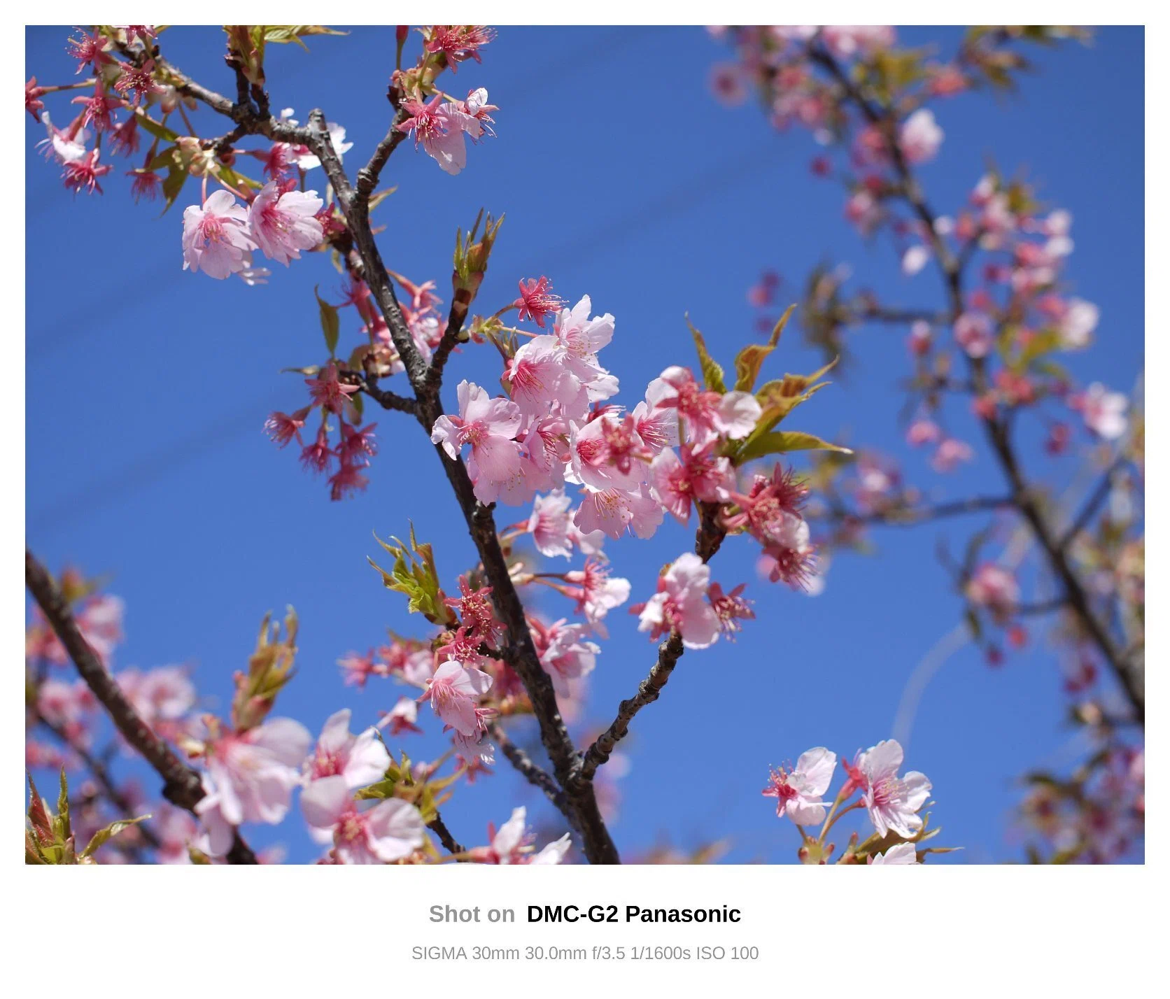スマホアプリの「LUMIX Lab」を使ってみた(LUMIX G2)｜きよしろうの雑記帳