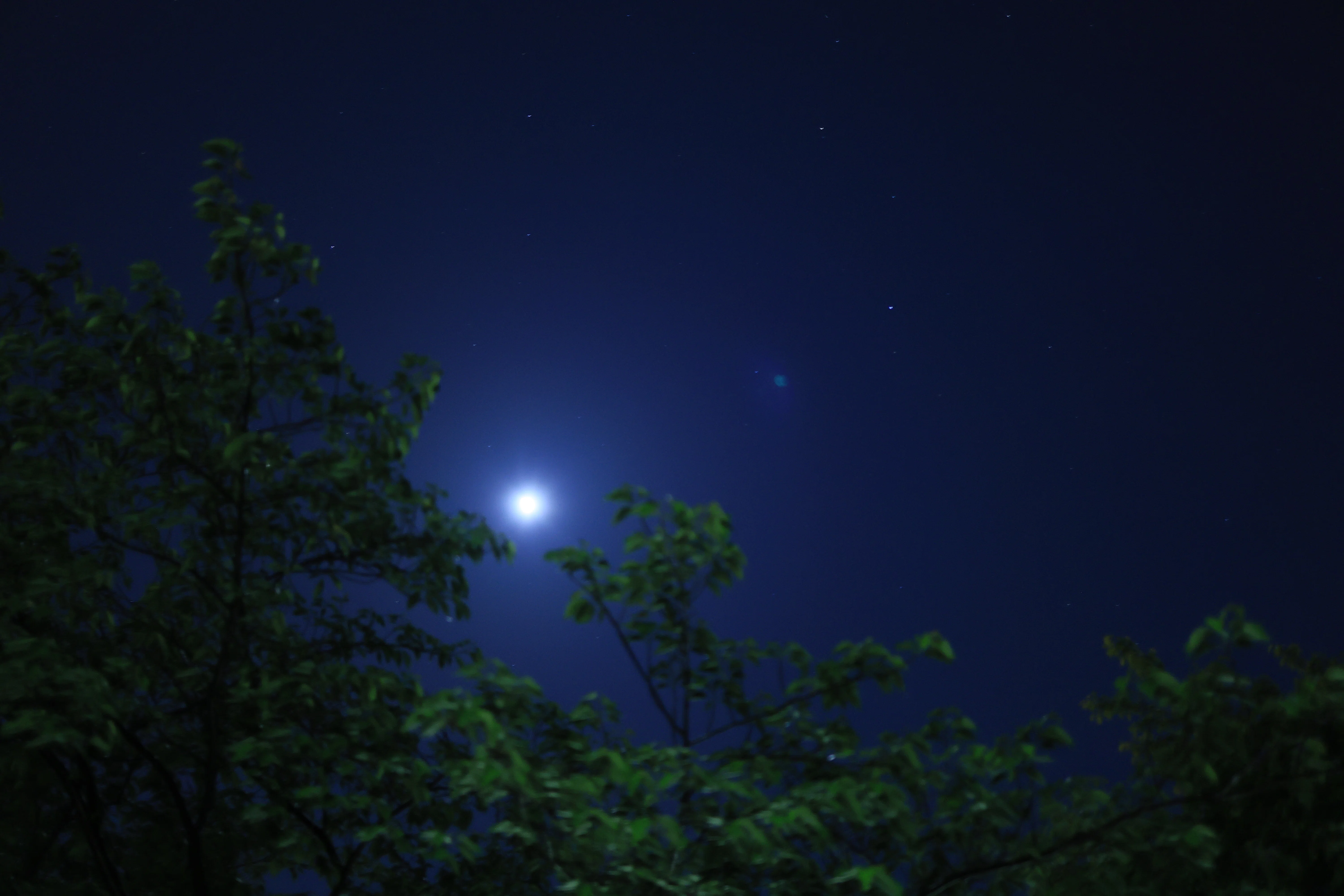 ちょい書き】雨上がりの夜空を撮る｜富嶽 駿海