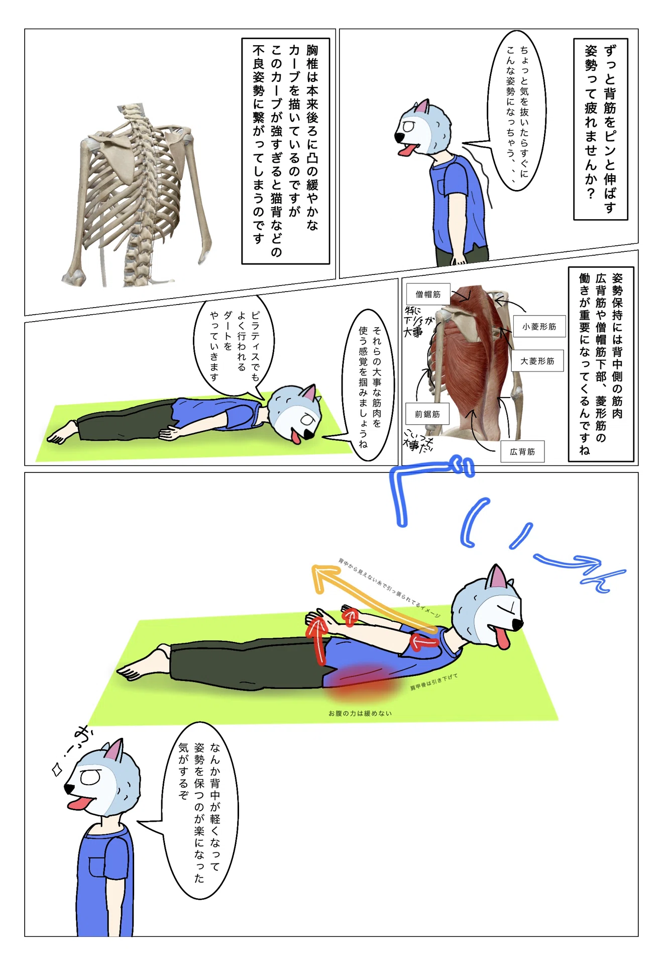 漫画で解説】猫背の方へダートのすすめ｜うちだ|描く理学療法士