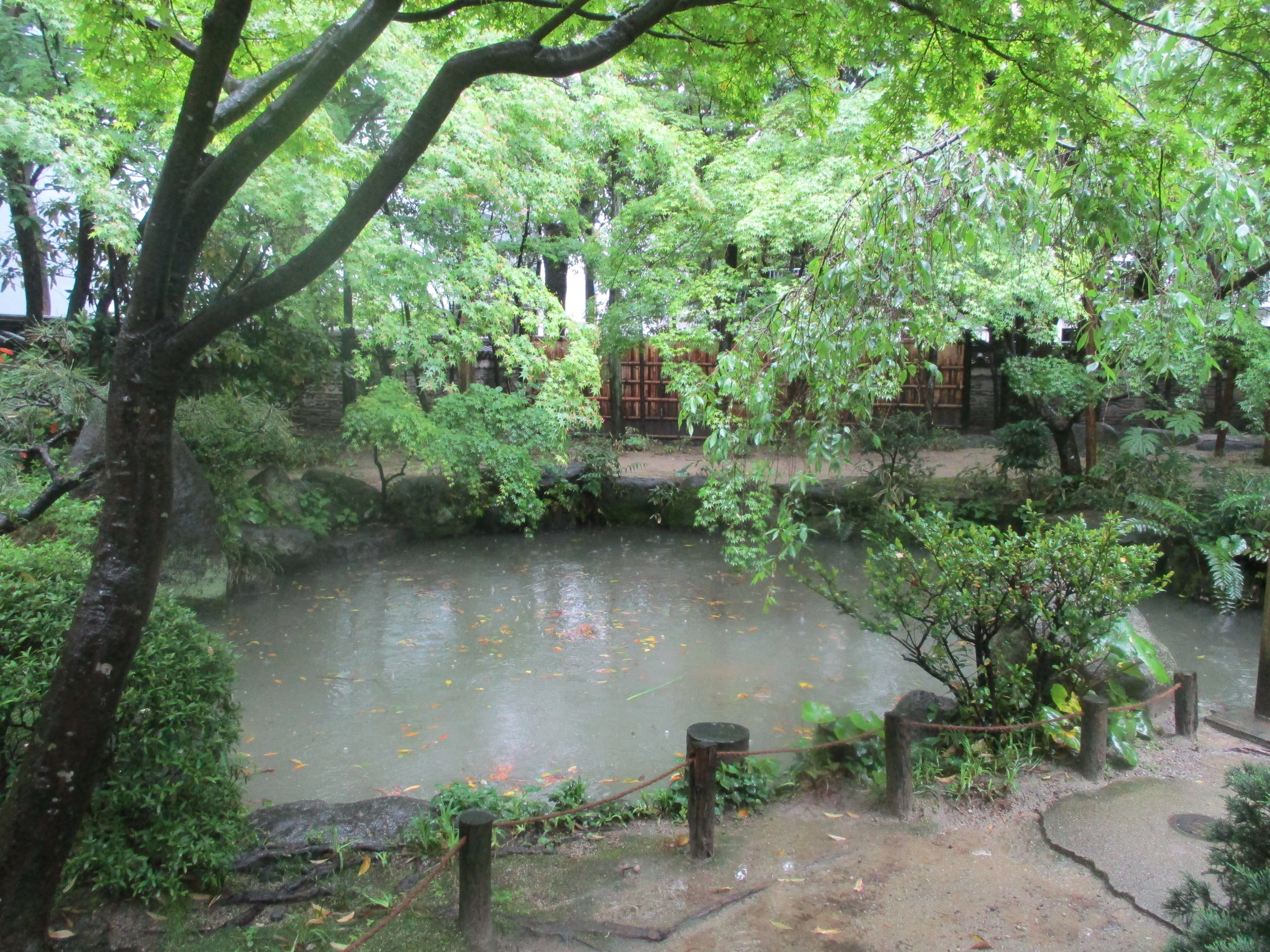 楽水園」回遊記【福岡市・博多区】｜GEnKU