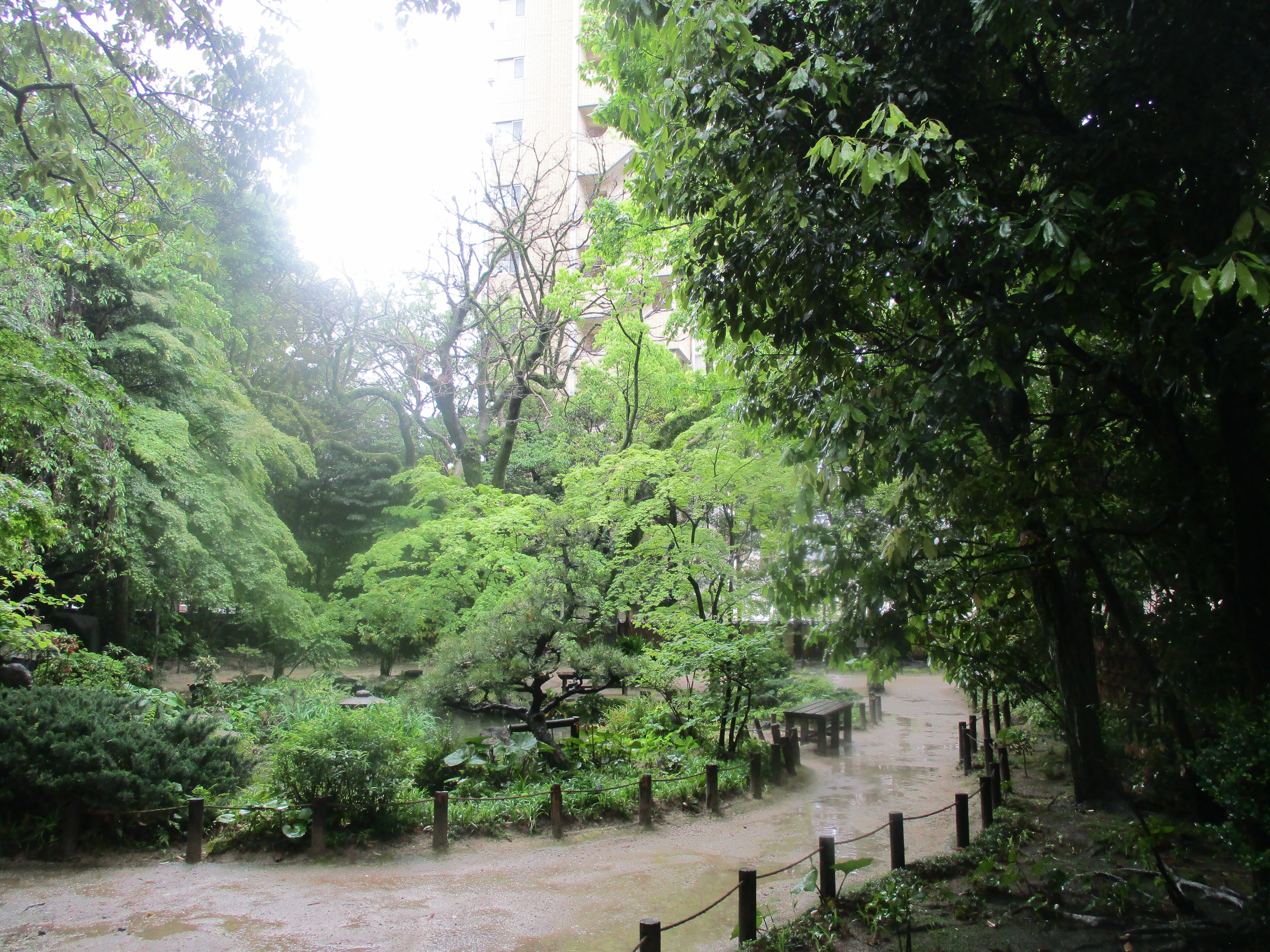 楽水園」回遊記【福岡市・博多区】｜GEnKU