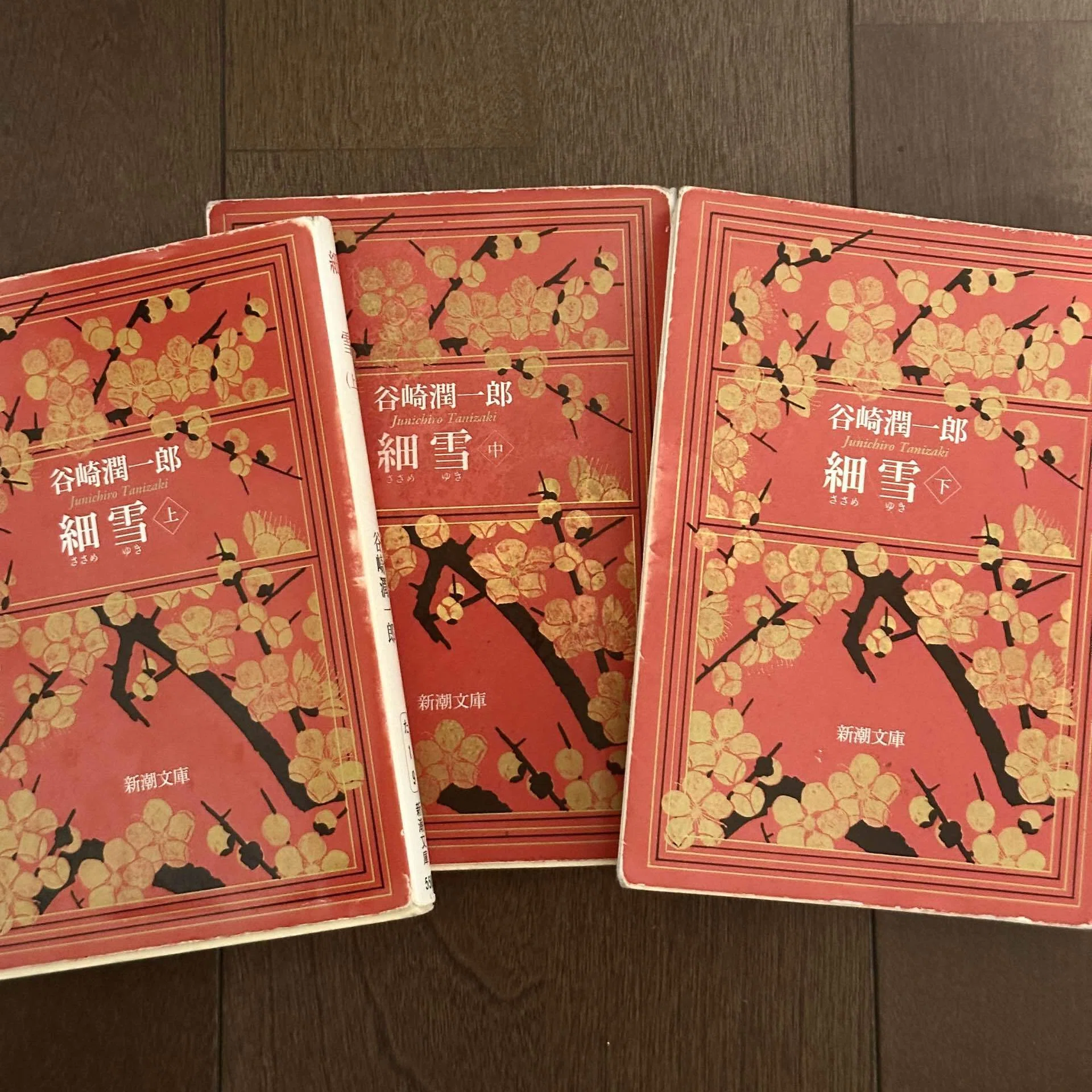 いやったらしいアカ”に抗うため、読まずにいた『細雪』｜shiro