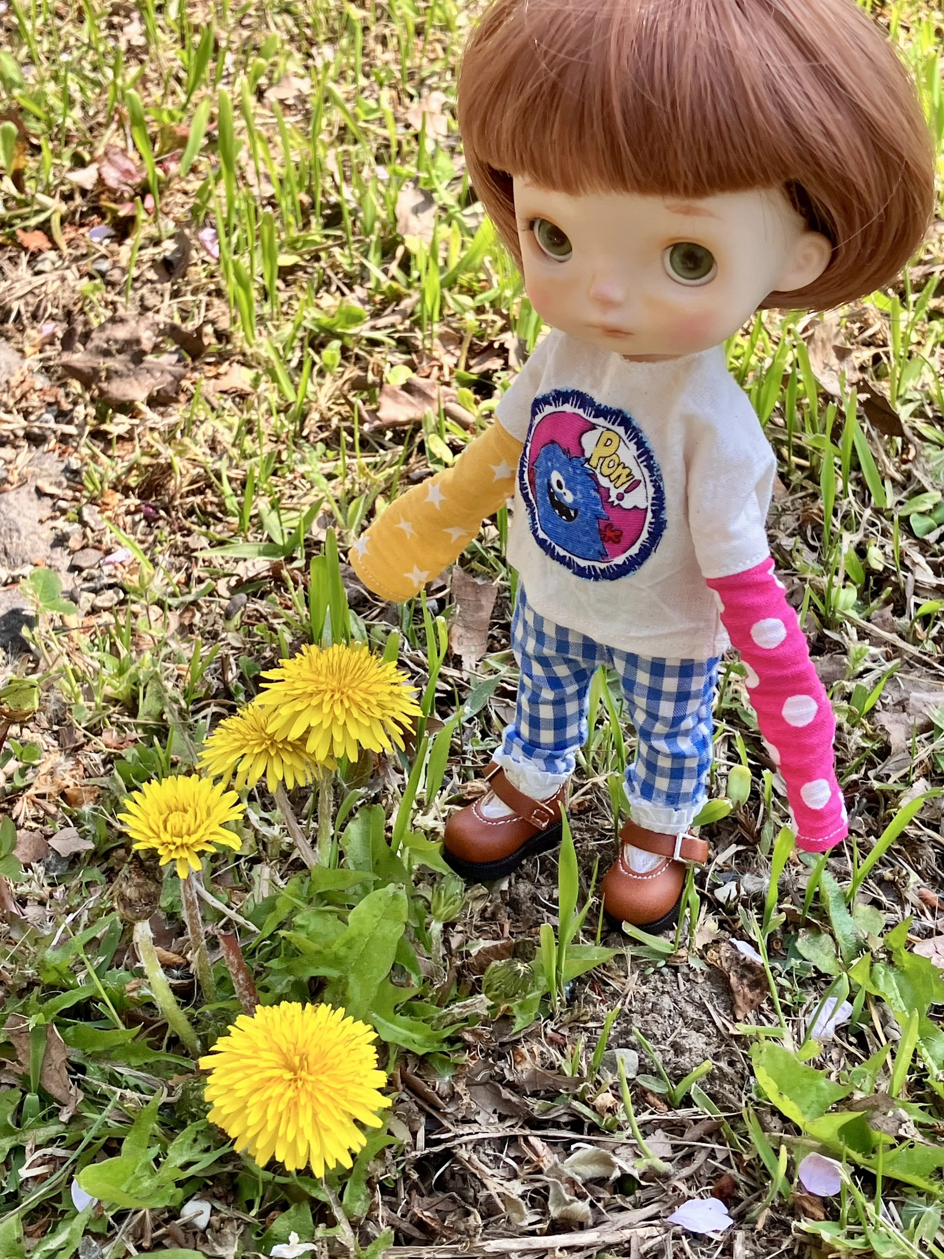 Monstdollと6歳児の旅｜朝火