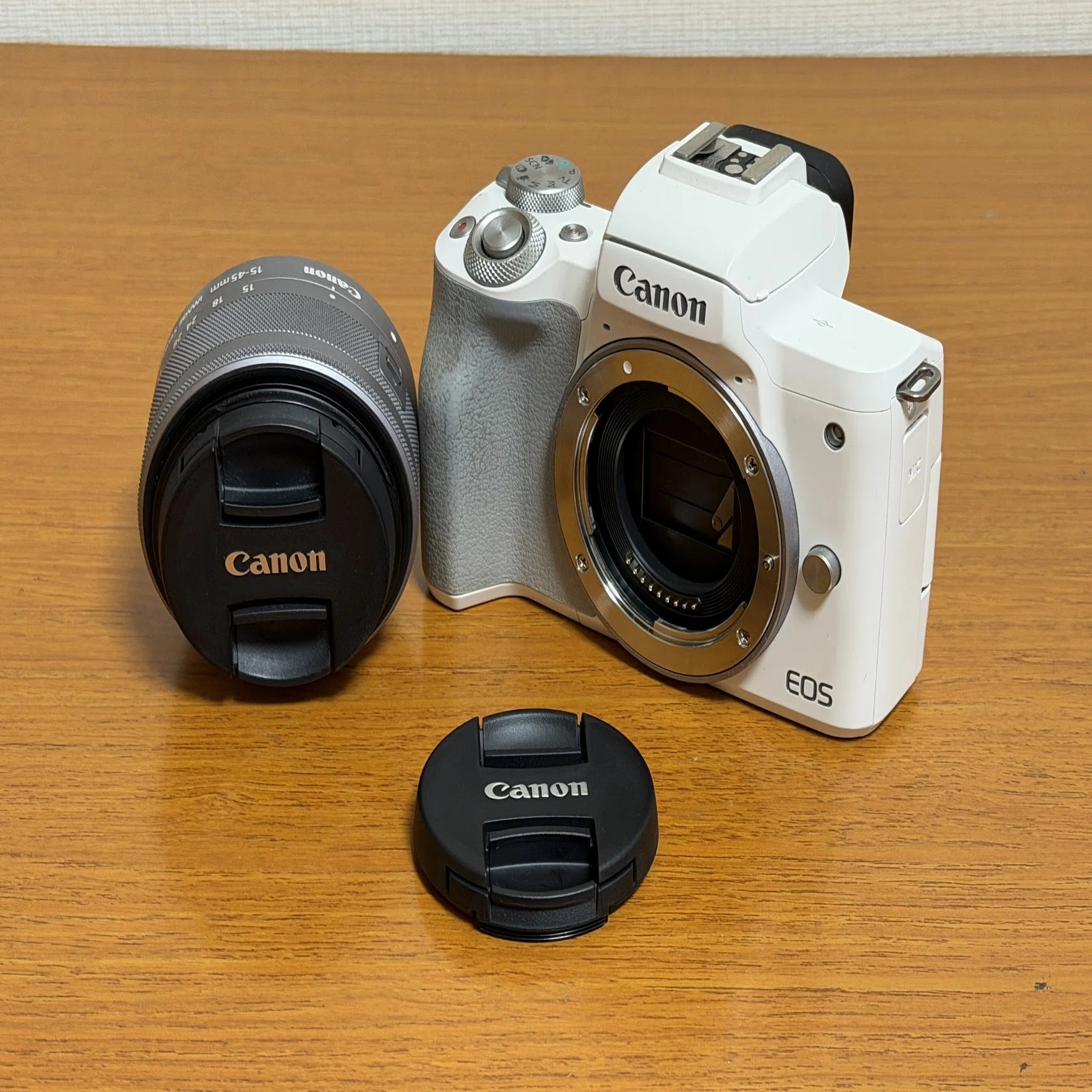 Canon ミラーレス一眼カメラ EOS Kiss M2 標準ズームレンズキット 