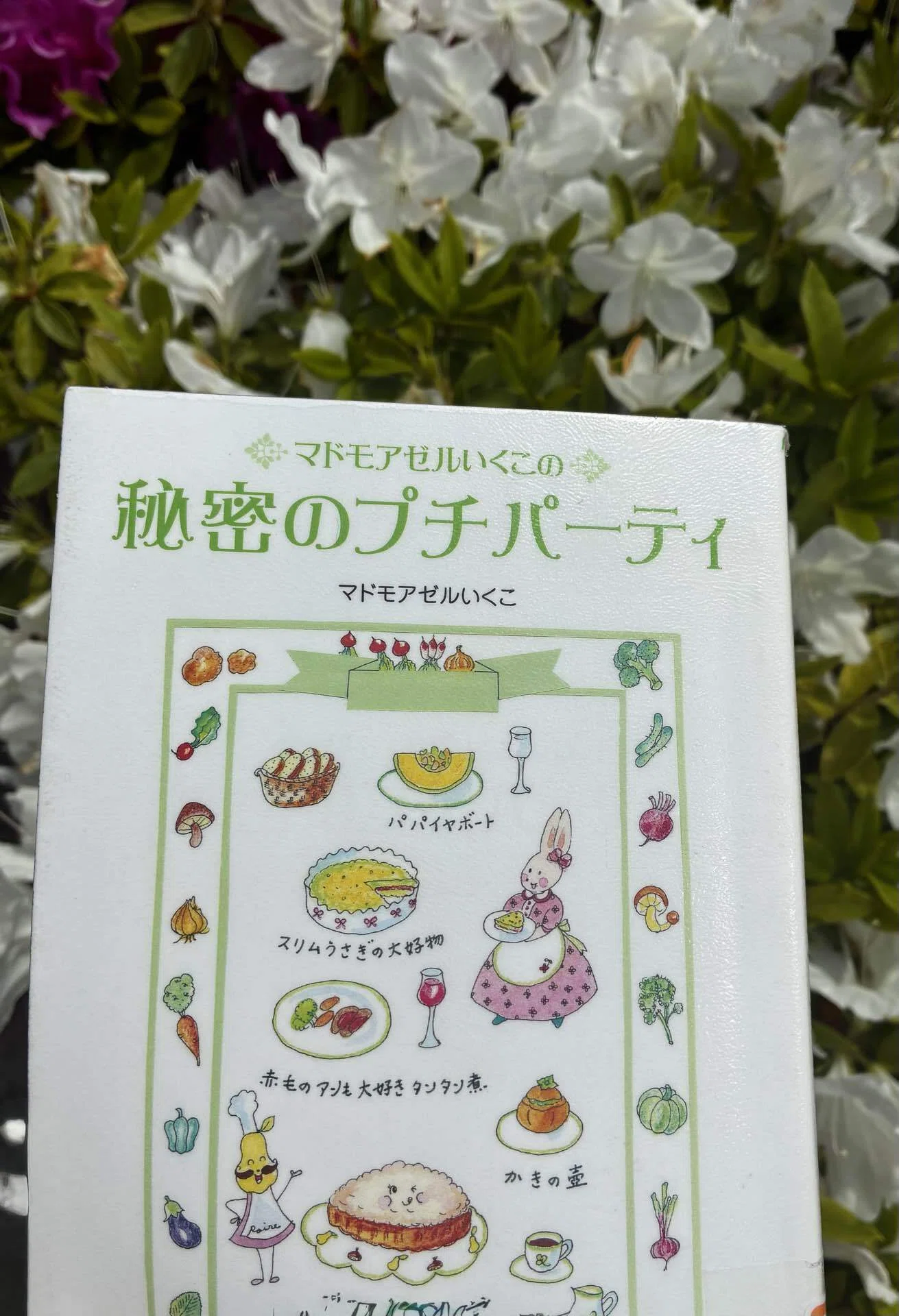 本 幻本 超美品 マドモアゼルいくこの秘密のプチパーティ マドモアゼル