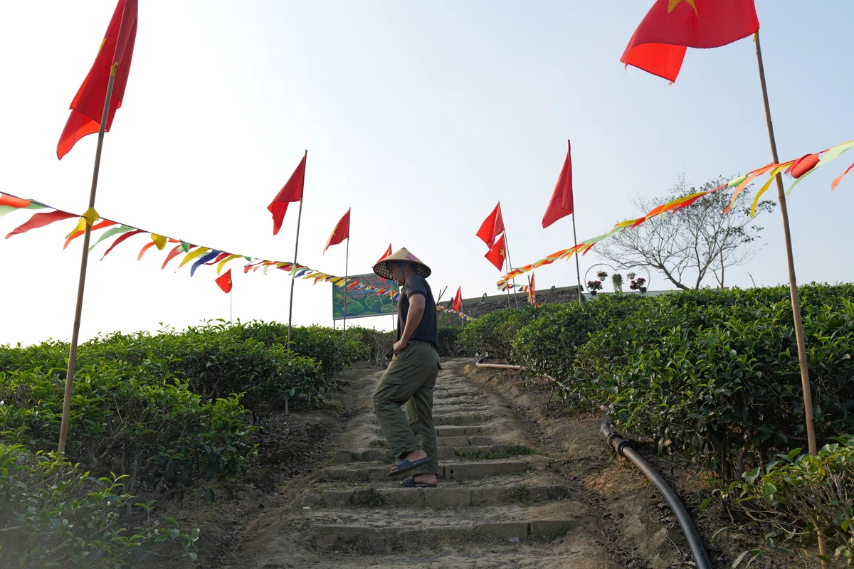 ボートからĐảo Chè Thanh Chươngの茶畑に上陸しました