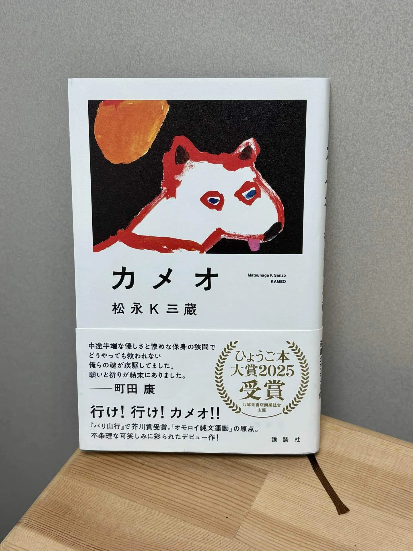 読書感想文 | 松永K三蔵先生『カメオ』｜影山さくら