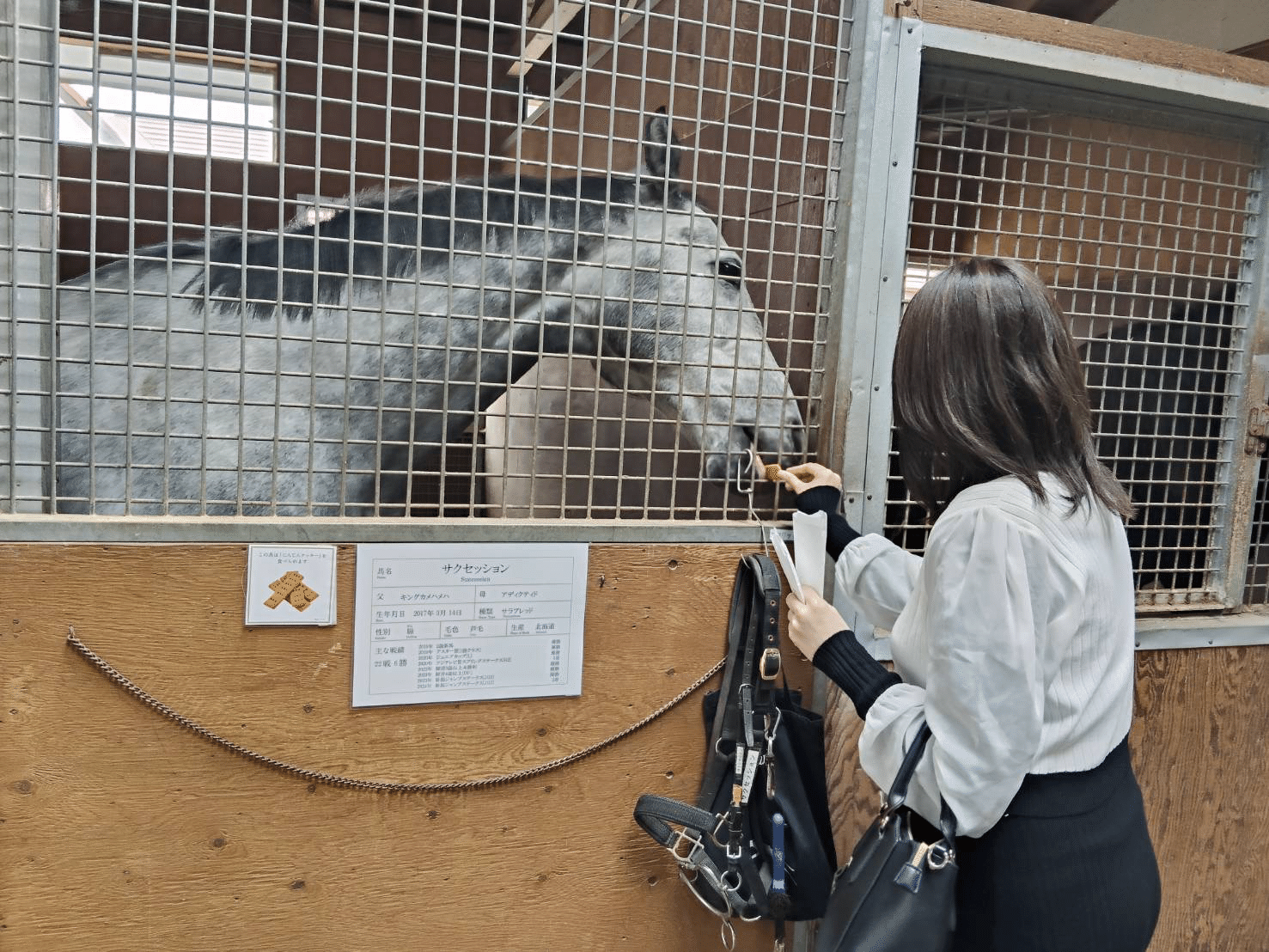 苫小牧】ノーザンホースパーク 〜言葉がなくても通ずるもの〜｜千弘