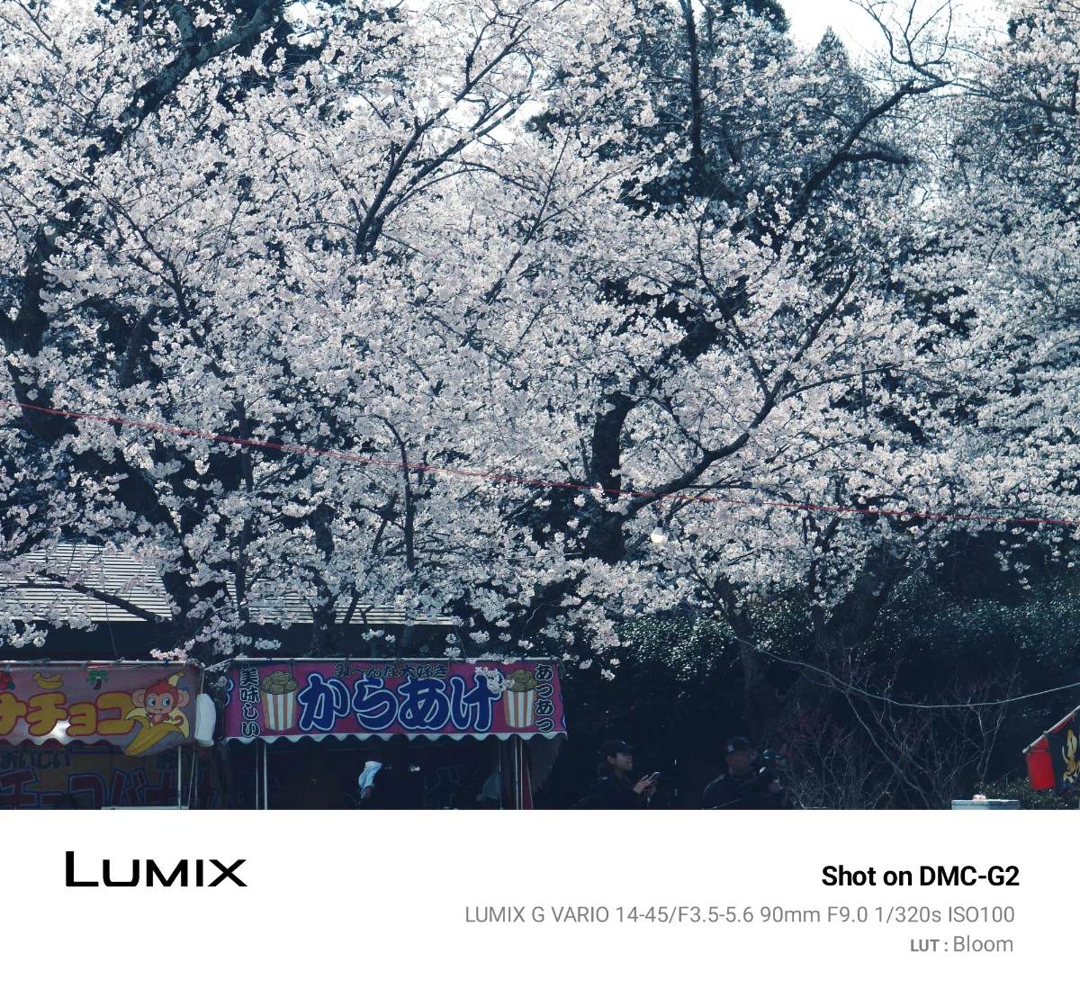 LUMIX Lab」のフレームが良かった(LUMIX G2)｜きよしろうの雑記帳