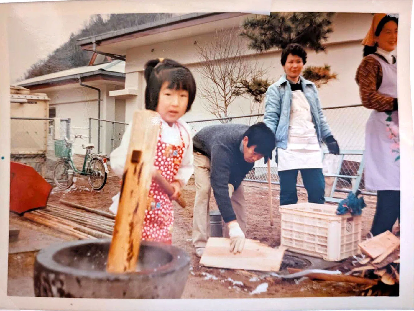 おもち 私とおもちーマツコの知らない世界「お餅の世界」の放送を終えてー
