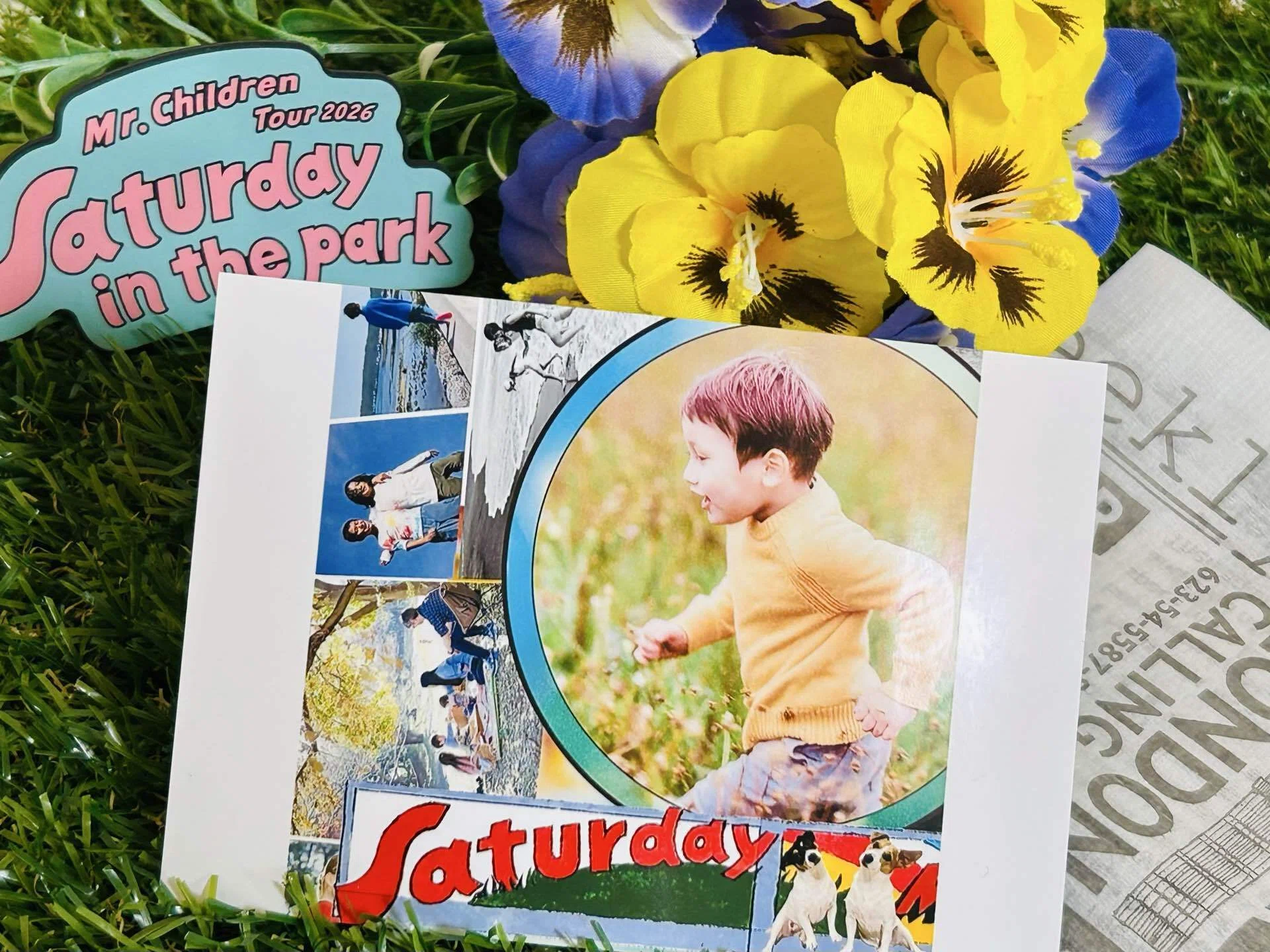 Mr.Childrenと花「Saturday」｜A子