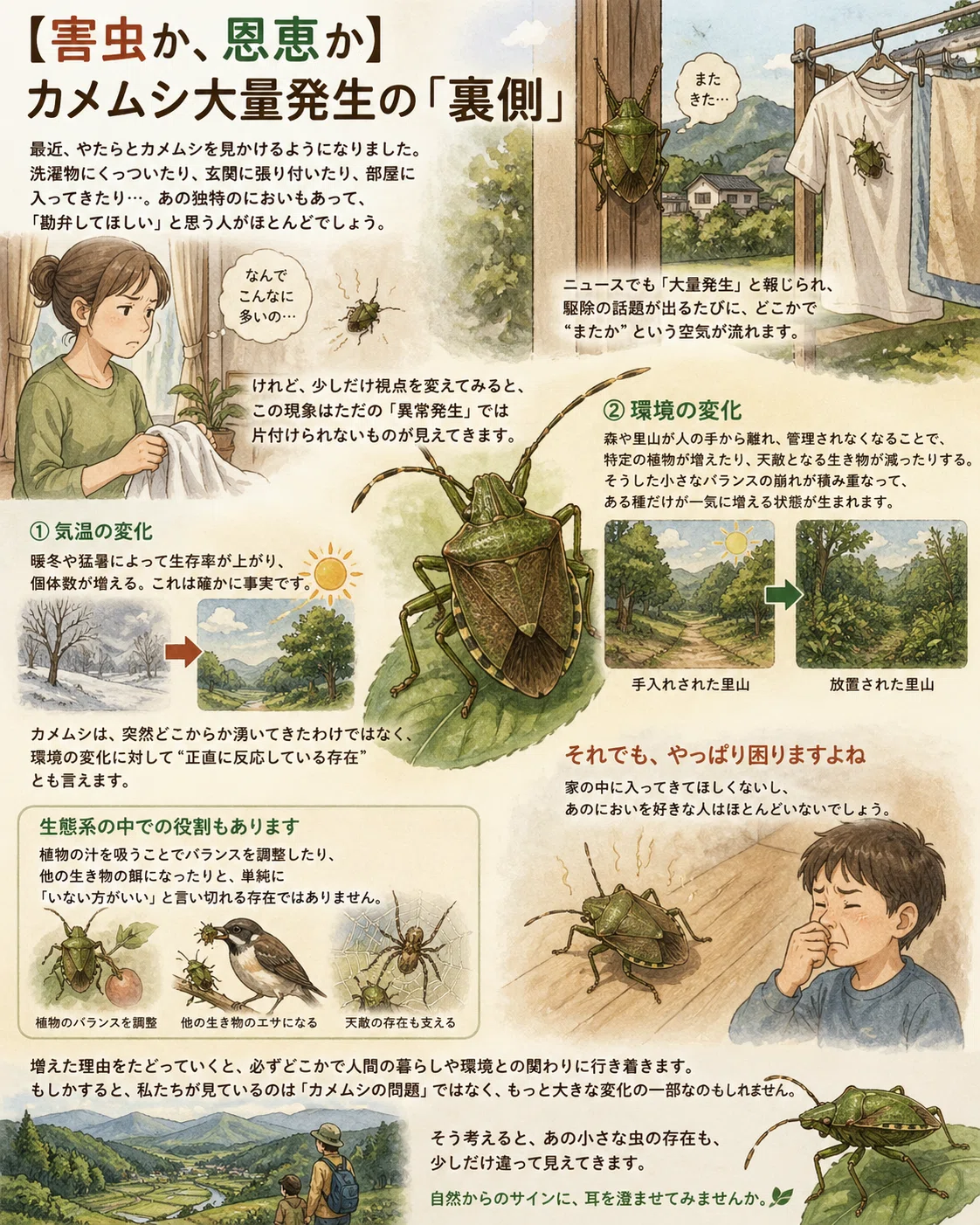 2026年・異変】カメムシ大量発生の「裏側」。それは、森からの警告かも