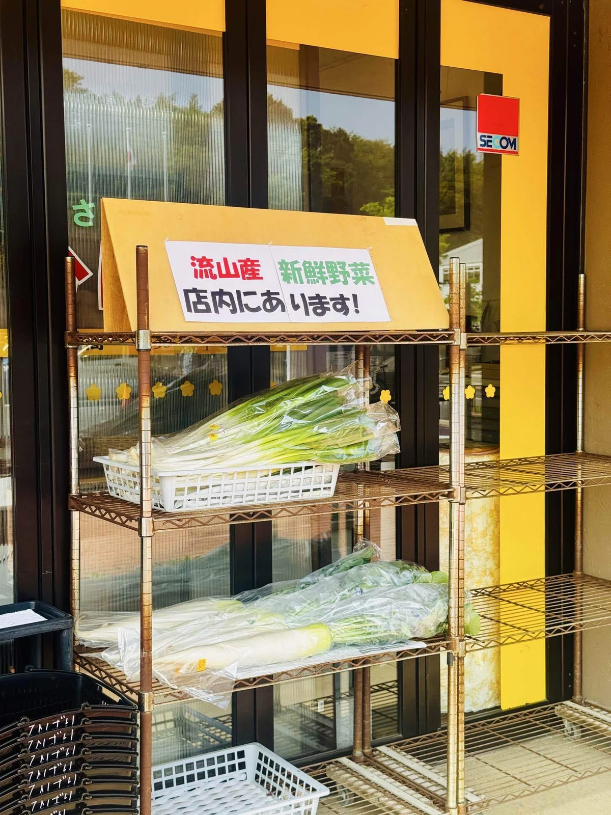 ふるさとコーナーの野菜売り場