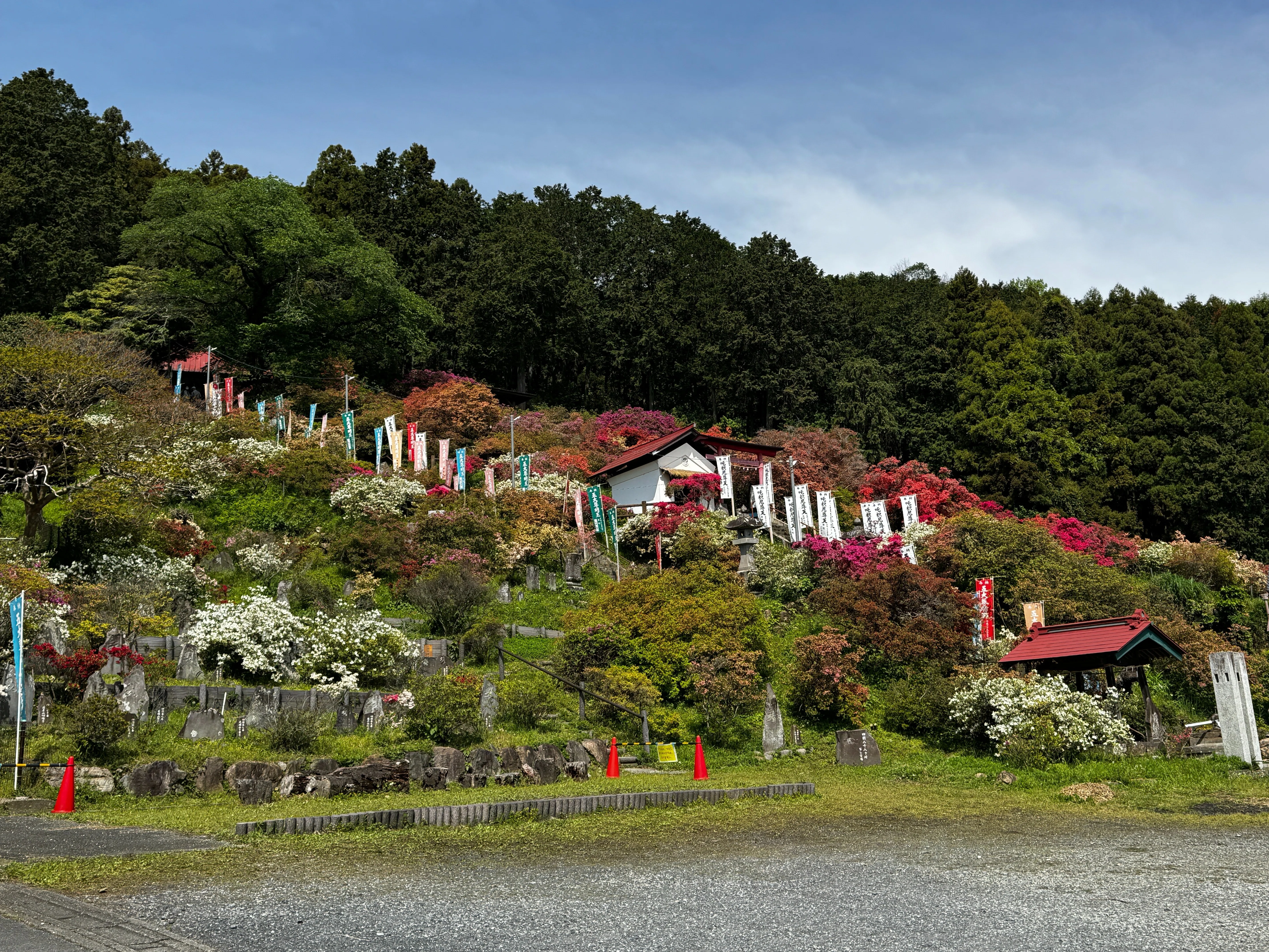 春の花を追いかける日は、心を整える日だった。五大尊つつじ祭りから