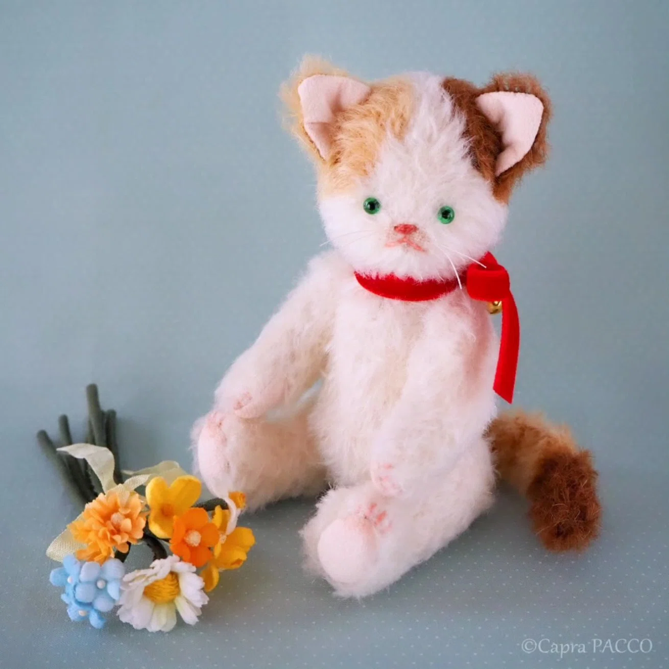 うちのミケ、お家探し｜Capra PACCO **カプラパッコ