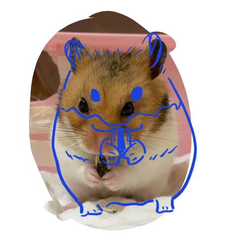 ハムスターが描きたくて①｜園崎ひなた│ゆるくご機嫌に生きていく