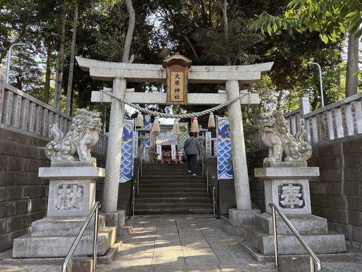 画像