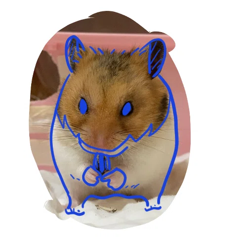 ハムスター様 ハムスターが描きたくて①｜園崎ひなた│ゆるくご機嫌に生きていく