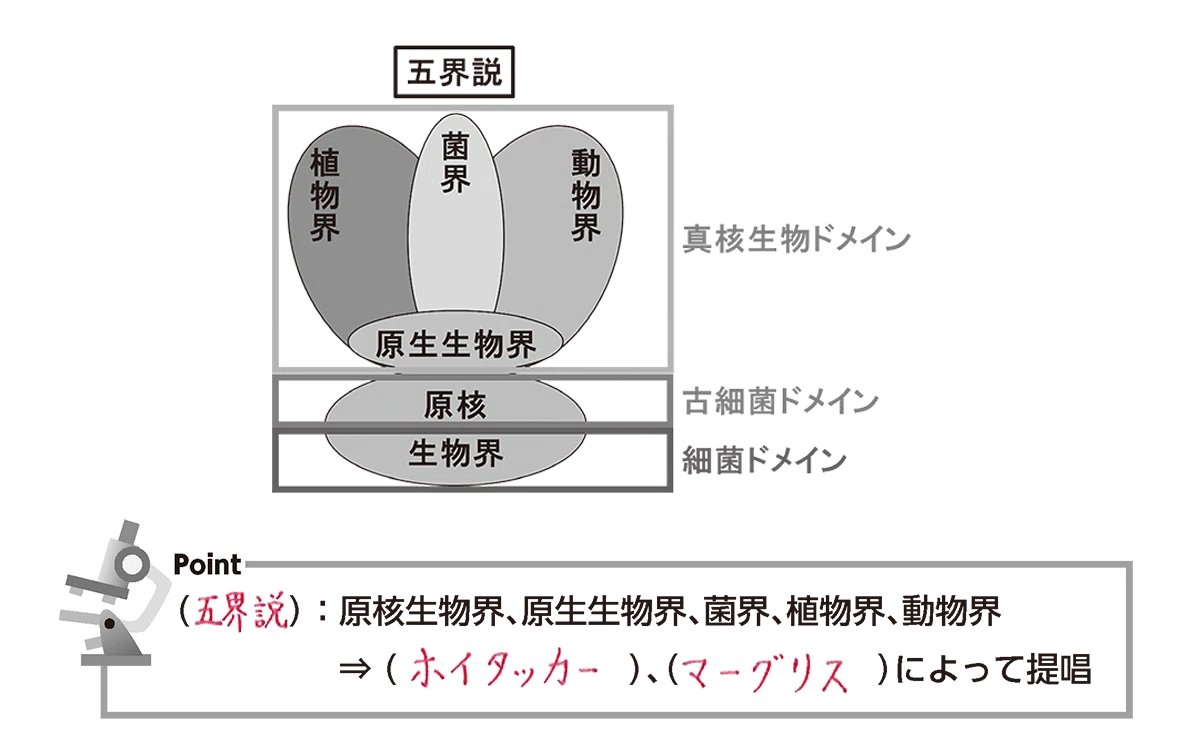 【生物】五界説|Petrichor1852