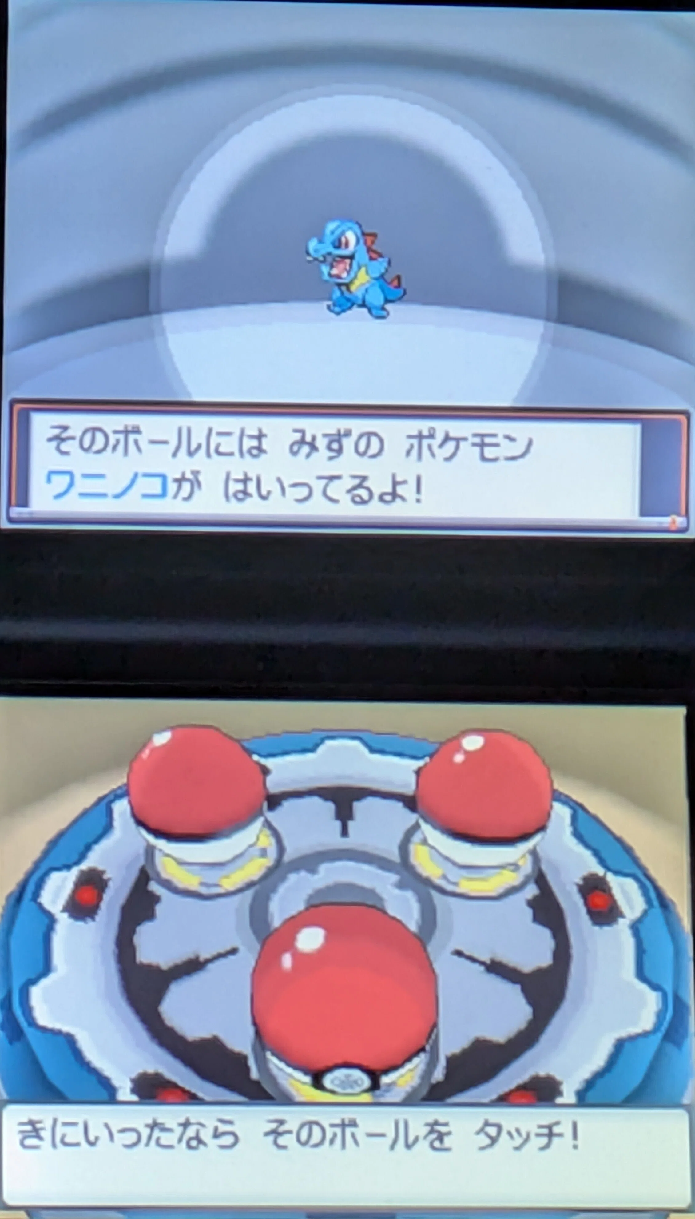ポケットモンスター ハートゴールド ポケットモンスターＹ ポケットモンスター ハートゴールド・ソウルシルバー: 任天堂公式