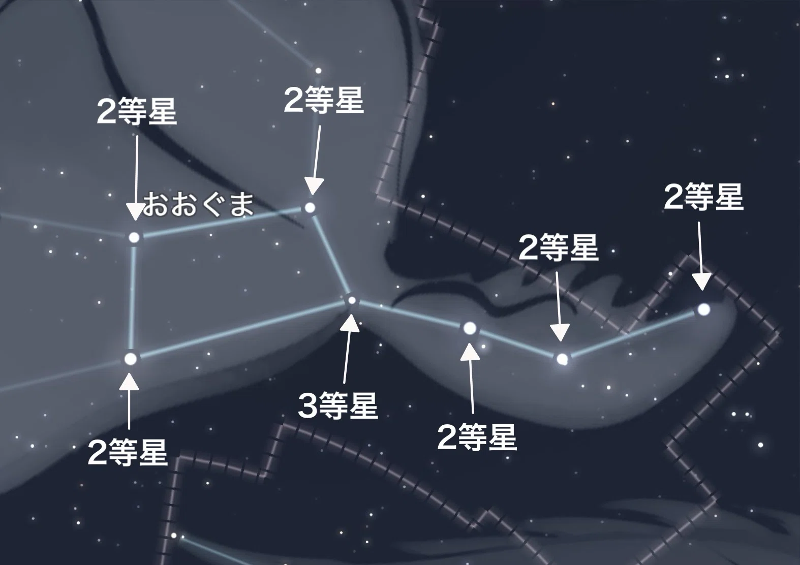 第29回 noteで行う星空ツアー：変わりゆく北斗七星｜星のソムリエ