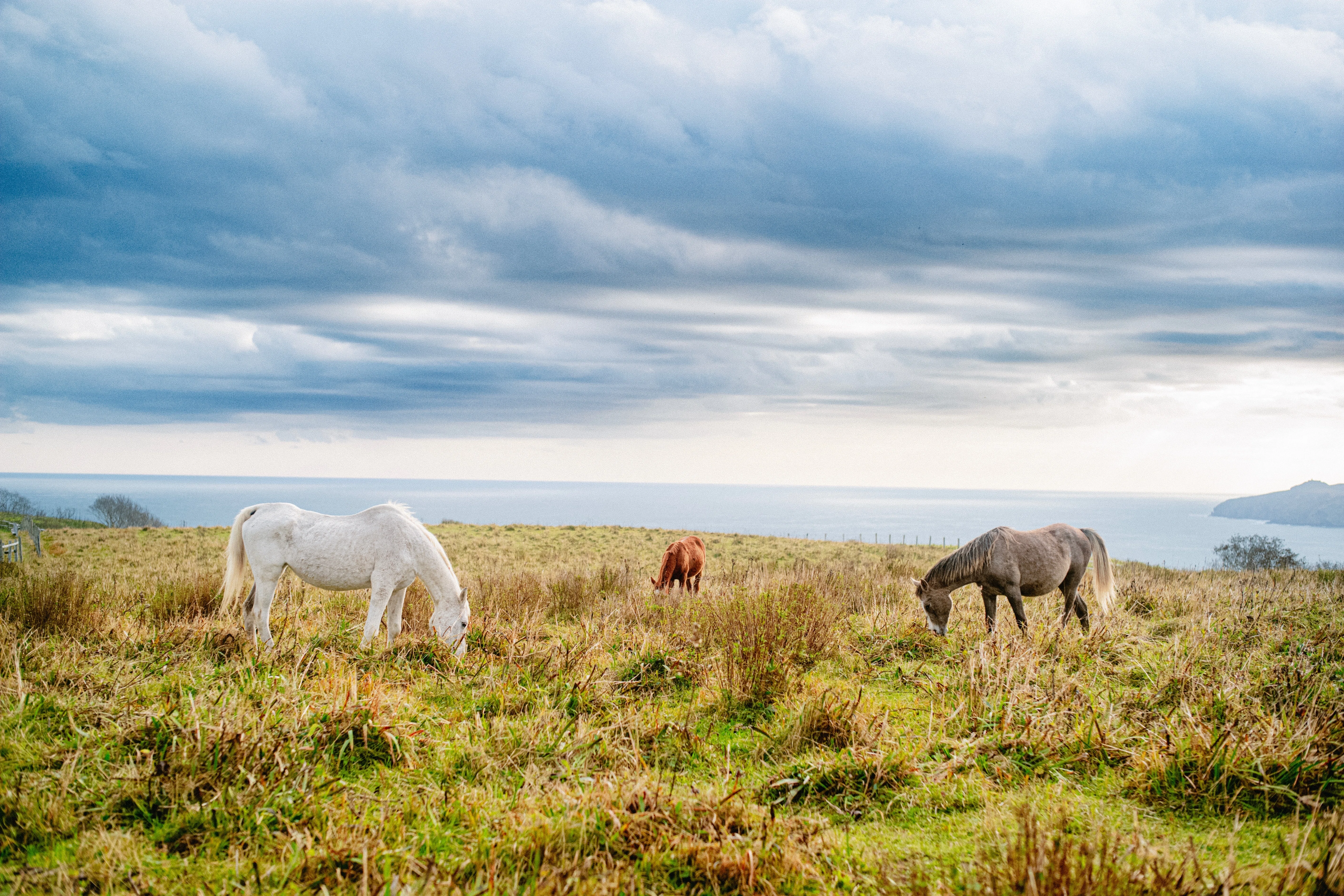 写真集「To the North」写真の裏側、北海道で過ごした日々。｜art6d