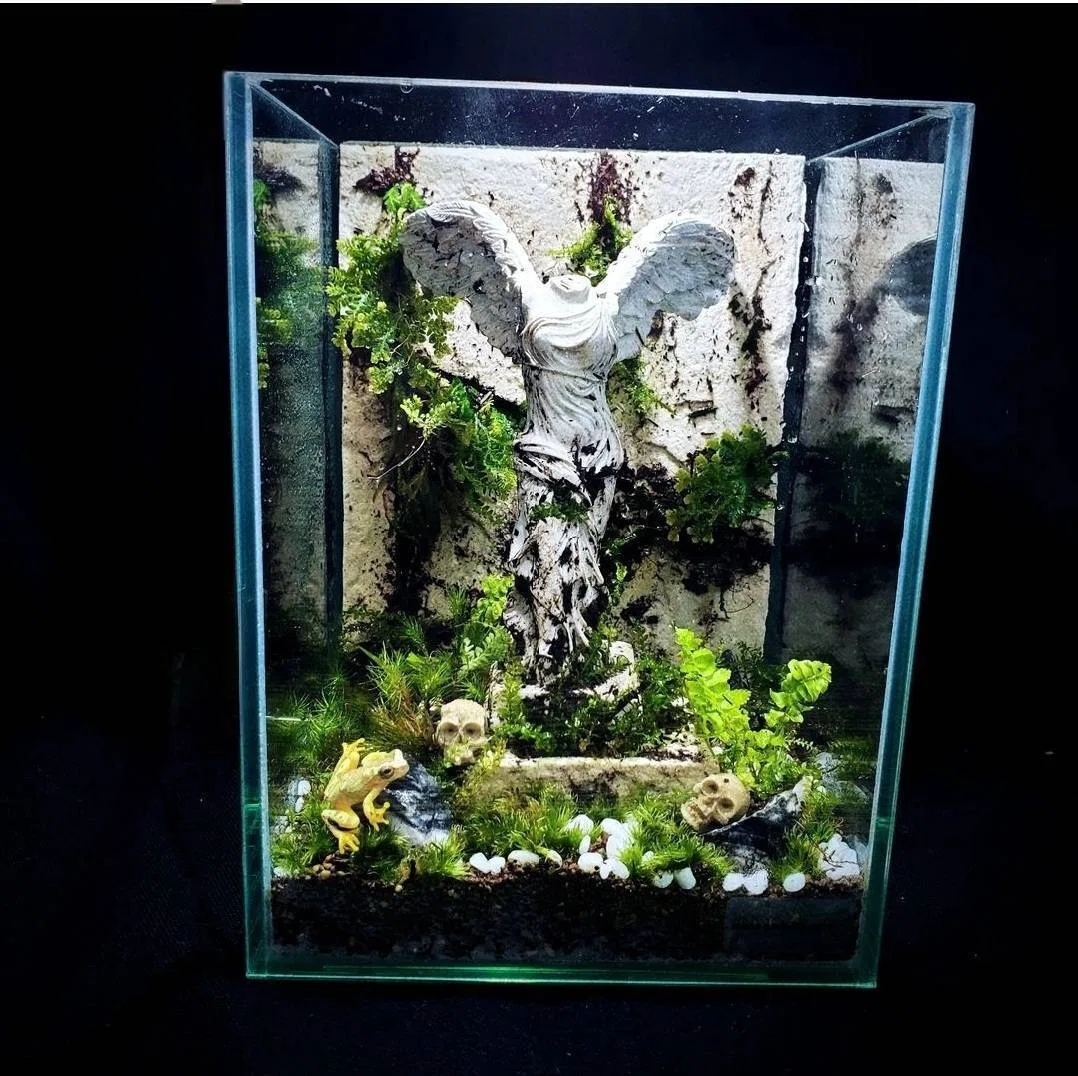 サモトラケのニケの苔テラリウムをメンテナンス｜moss paradise3055