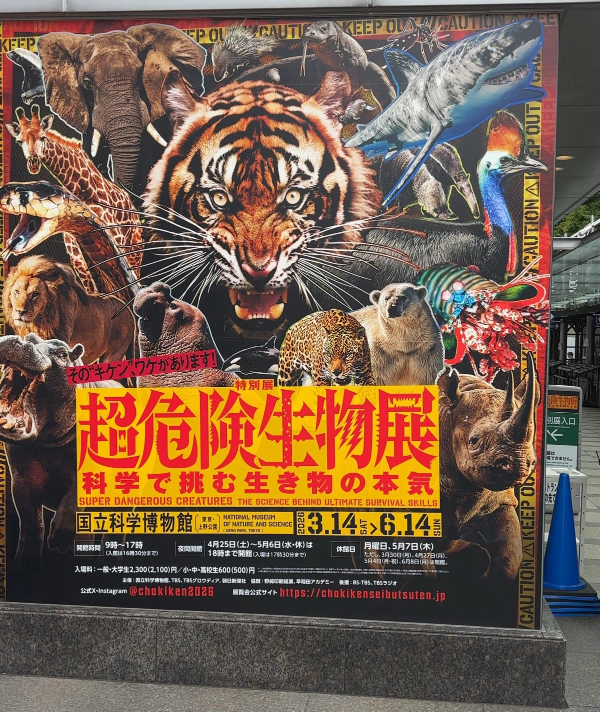 アビス、東京に現わる」を追う（東京弾丸旅行記） 前編｜社員シルバー