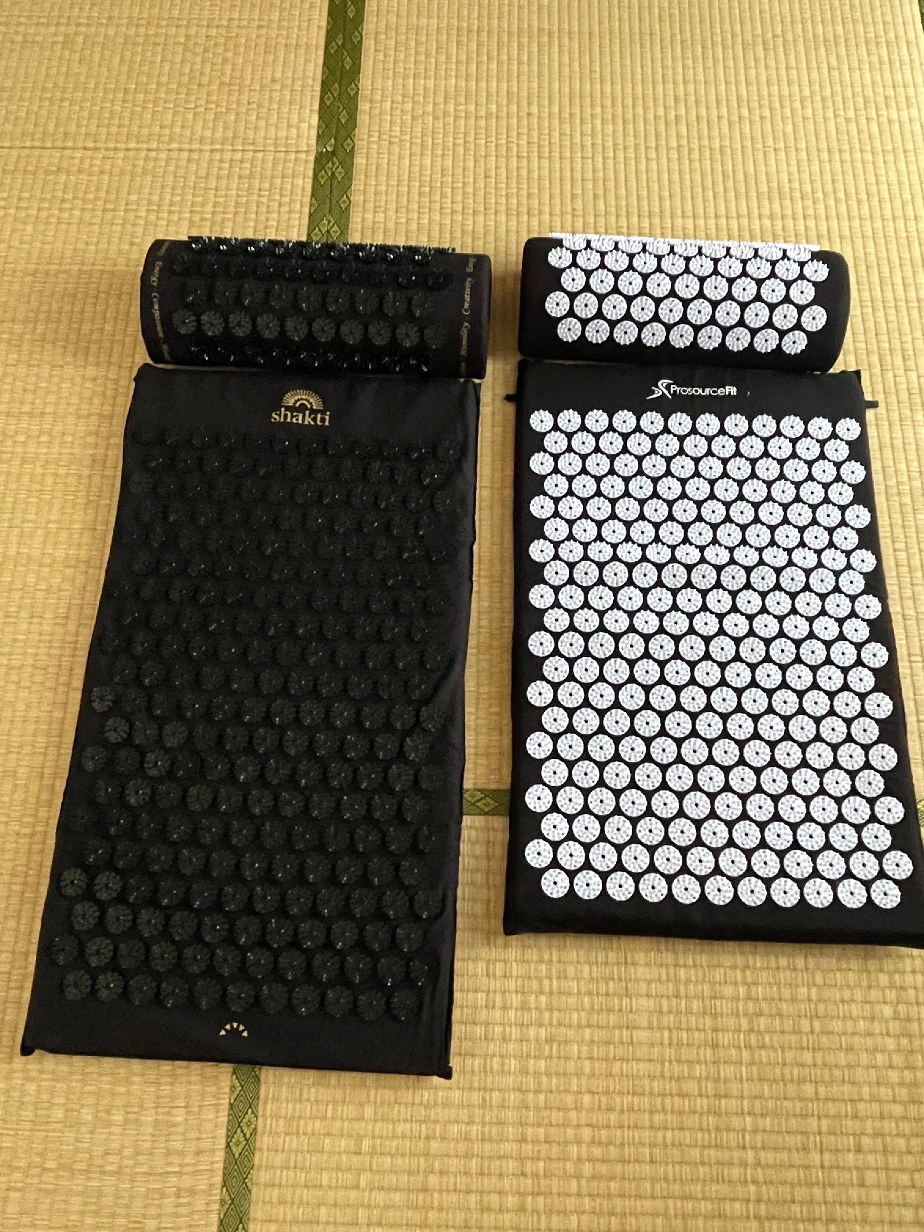 偽シャクティで満足していた僕の背中が、本家シャクティで目覚めた話