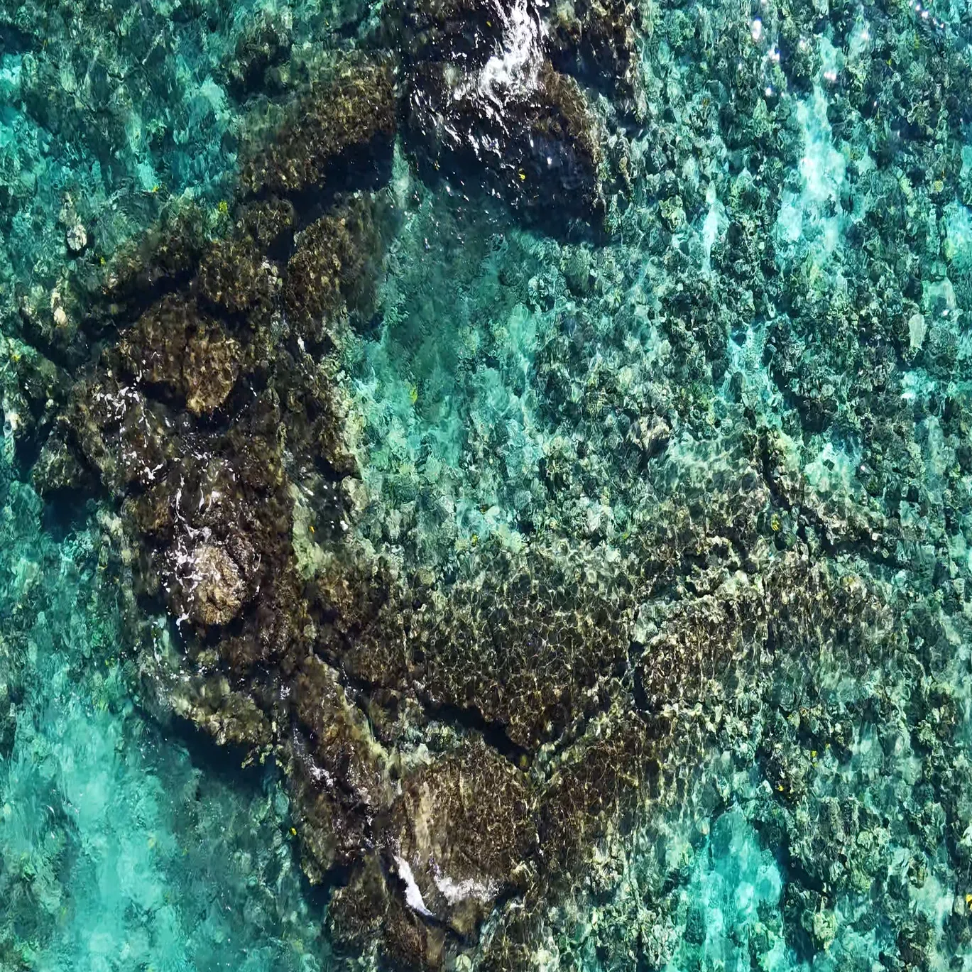 過酷⇒絶景🐡ハワイ島🌺】往復6kmの地獄→たどり着いた海が別世界